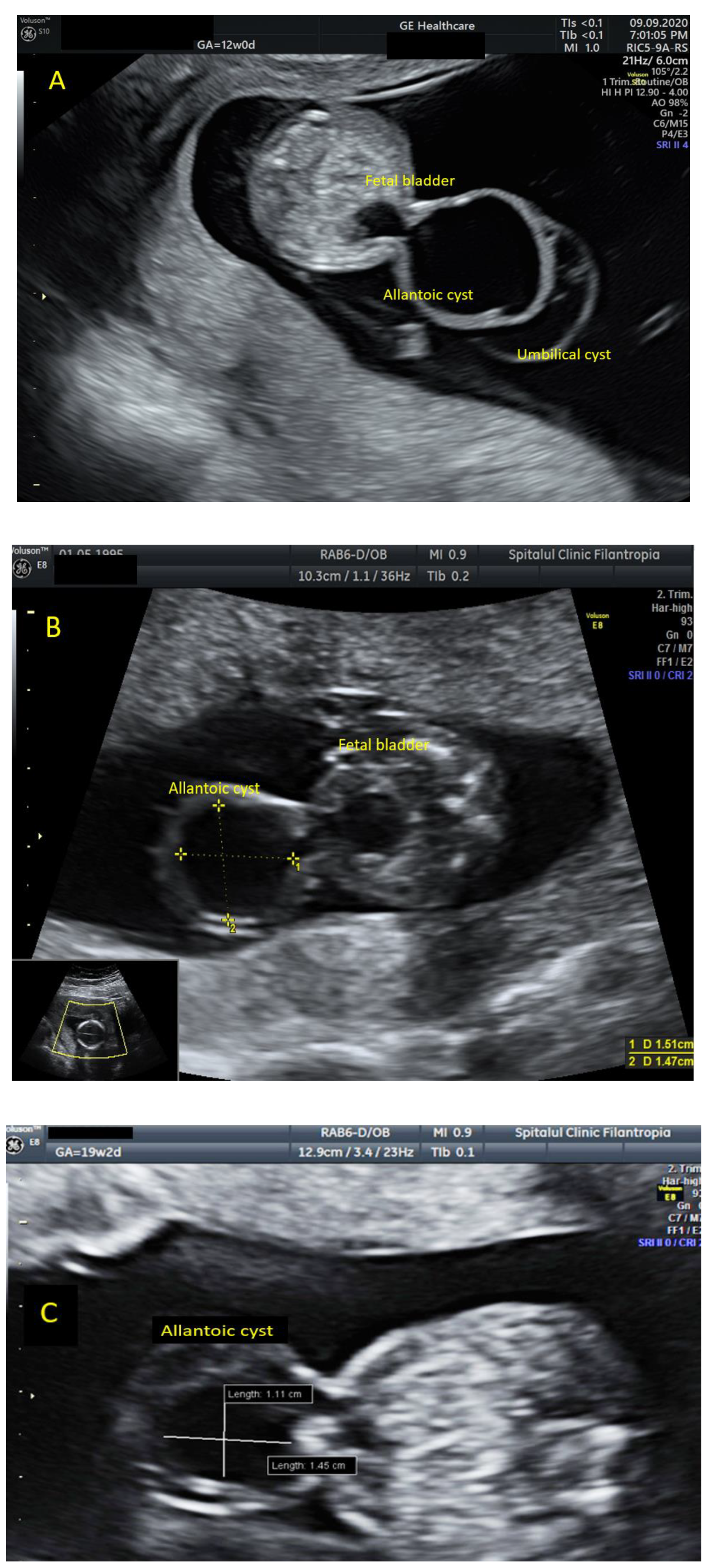 Diagnostics 11 02332 g001a Diagnostics 11 02332 g001a