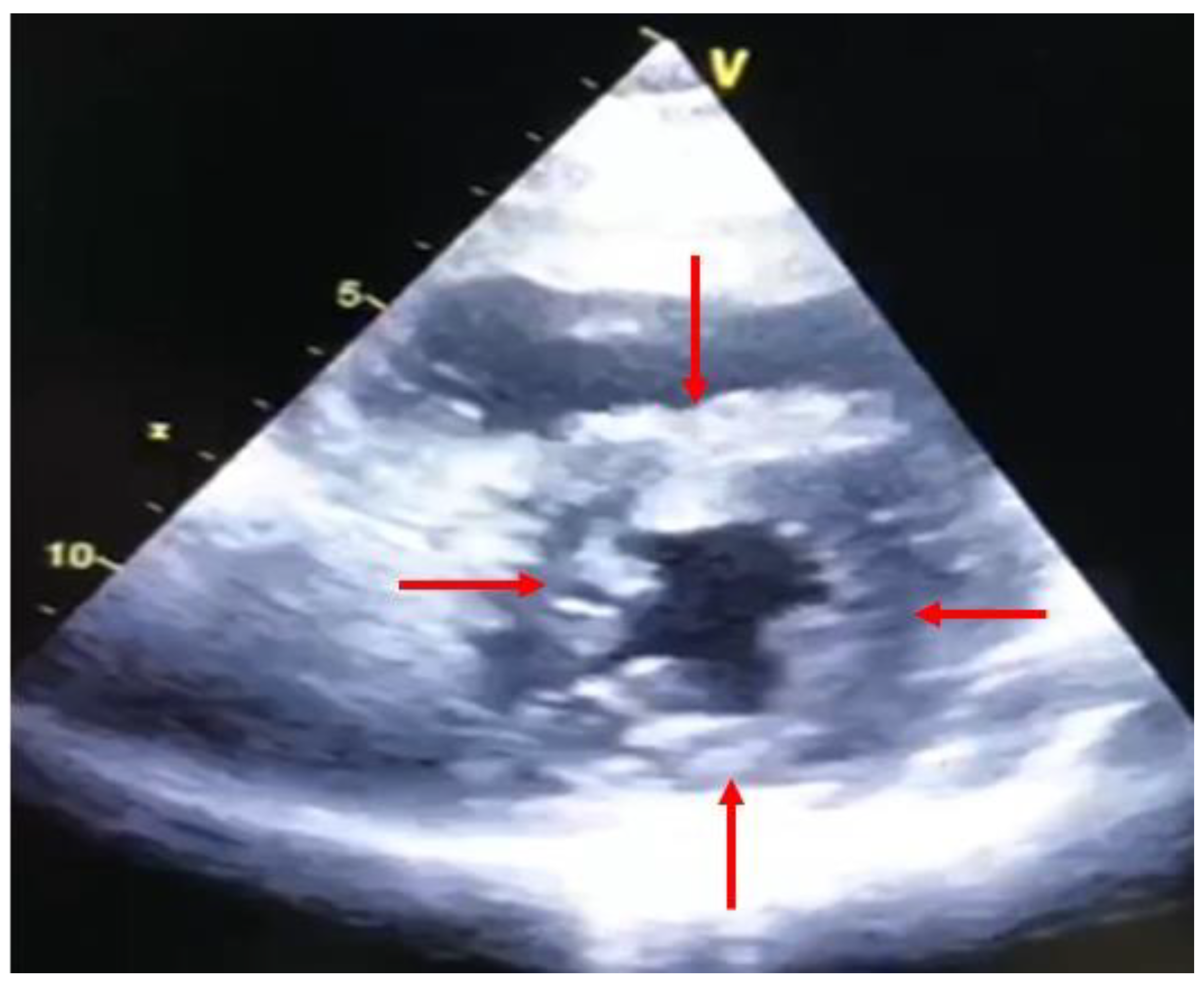 Diagnostics 11 02338 g001