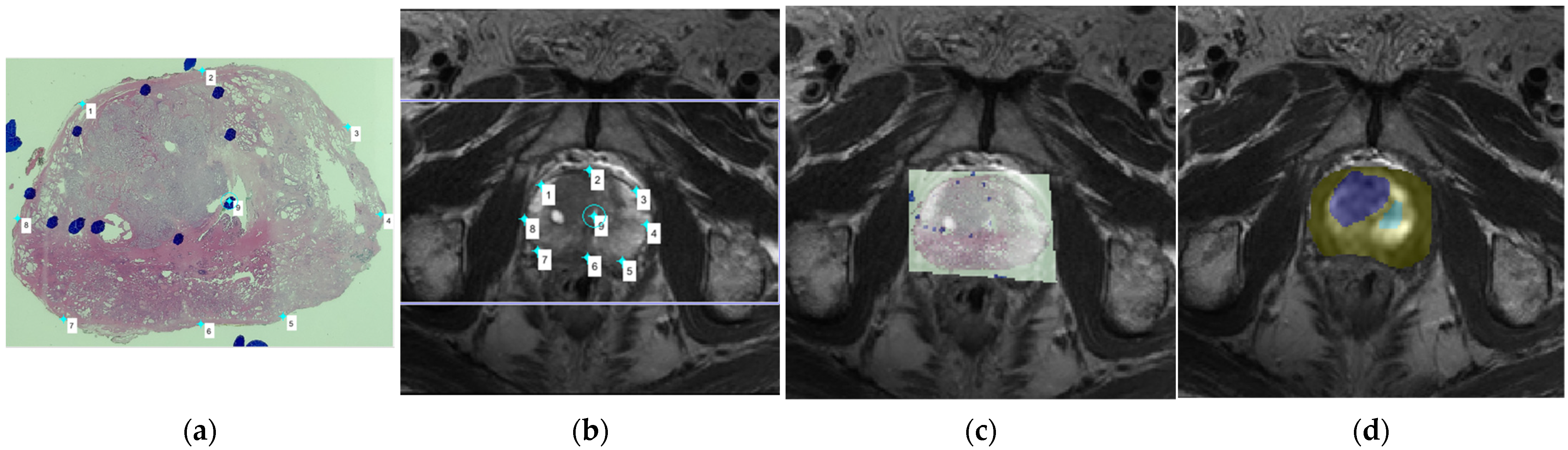 Diagnostics 11 02340 g001