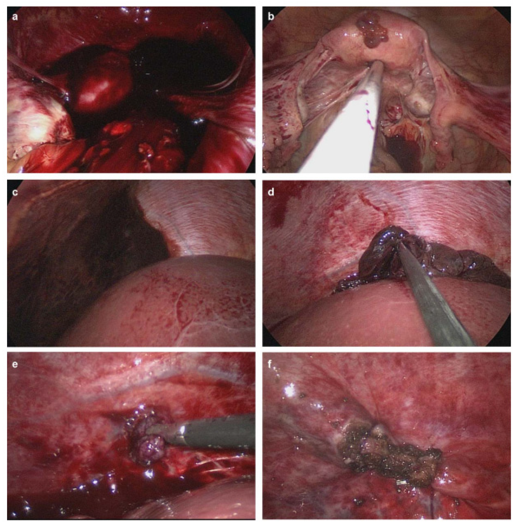 Diagnostics 11 02342 g002