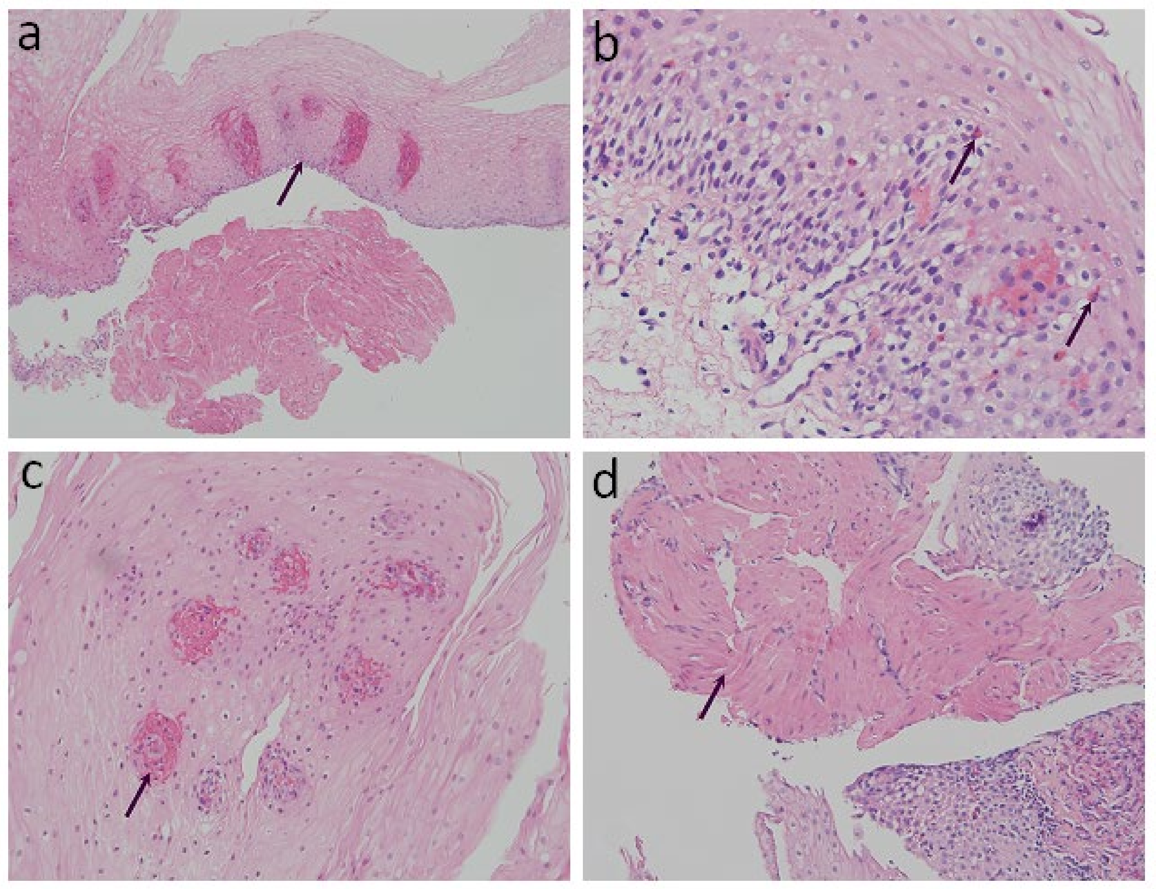 Diagnostics 11 02347 g001