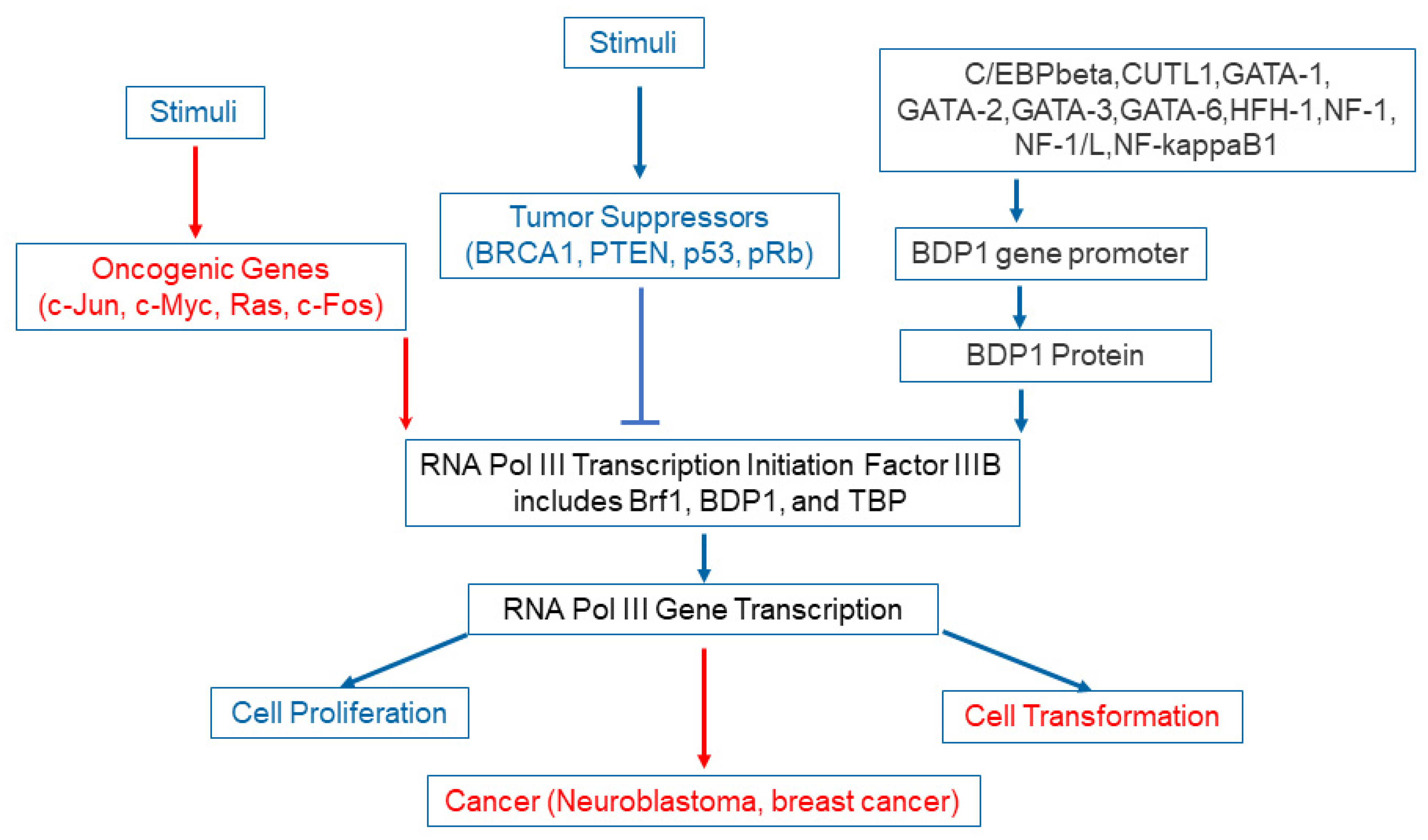 Diagnostics 11 02364 g002