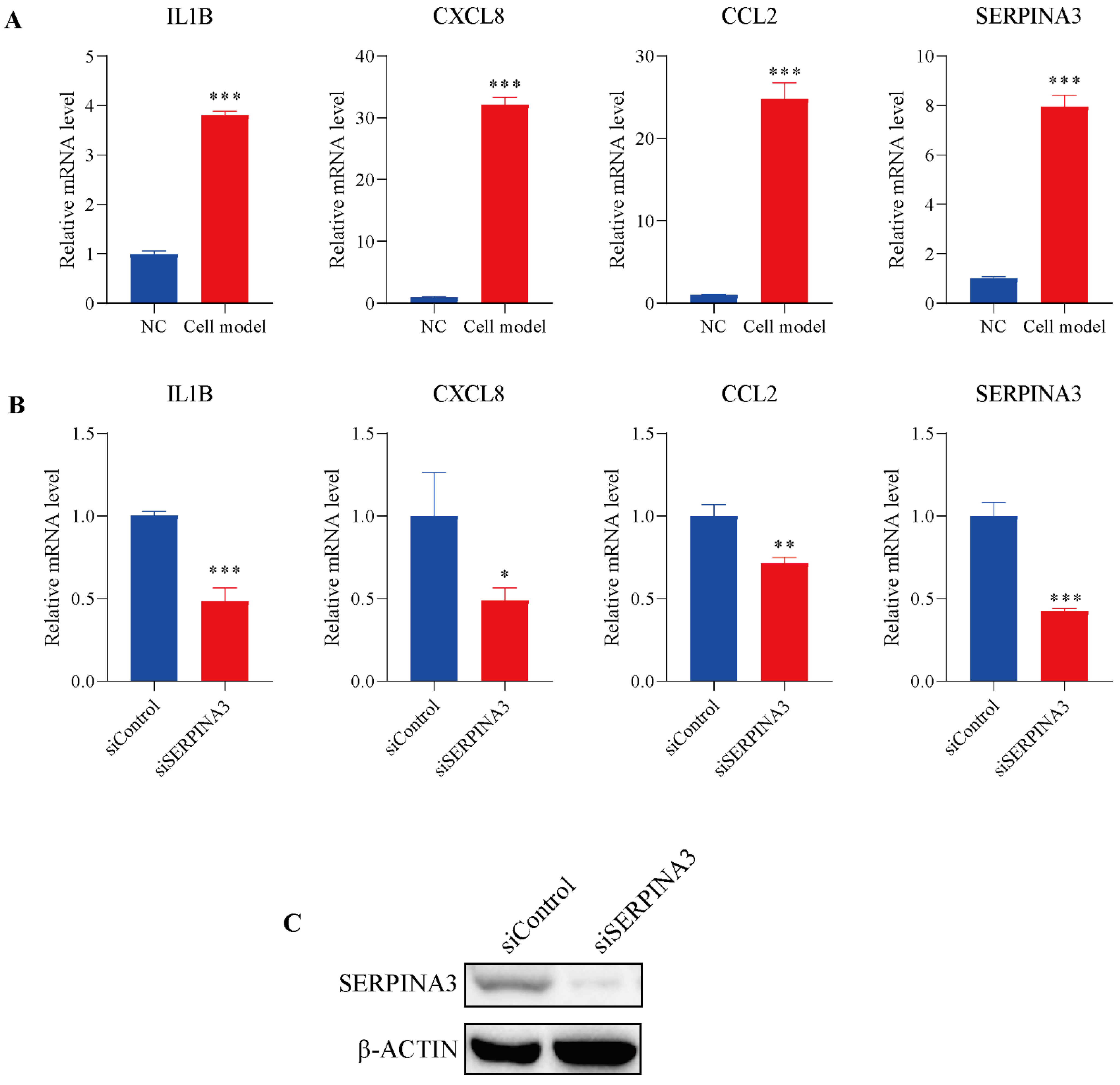 Diagnostics 11 02371 g005