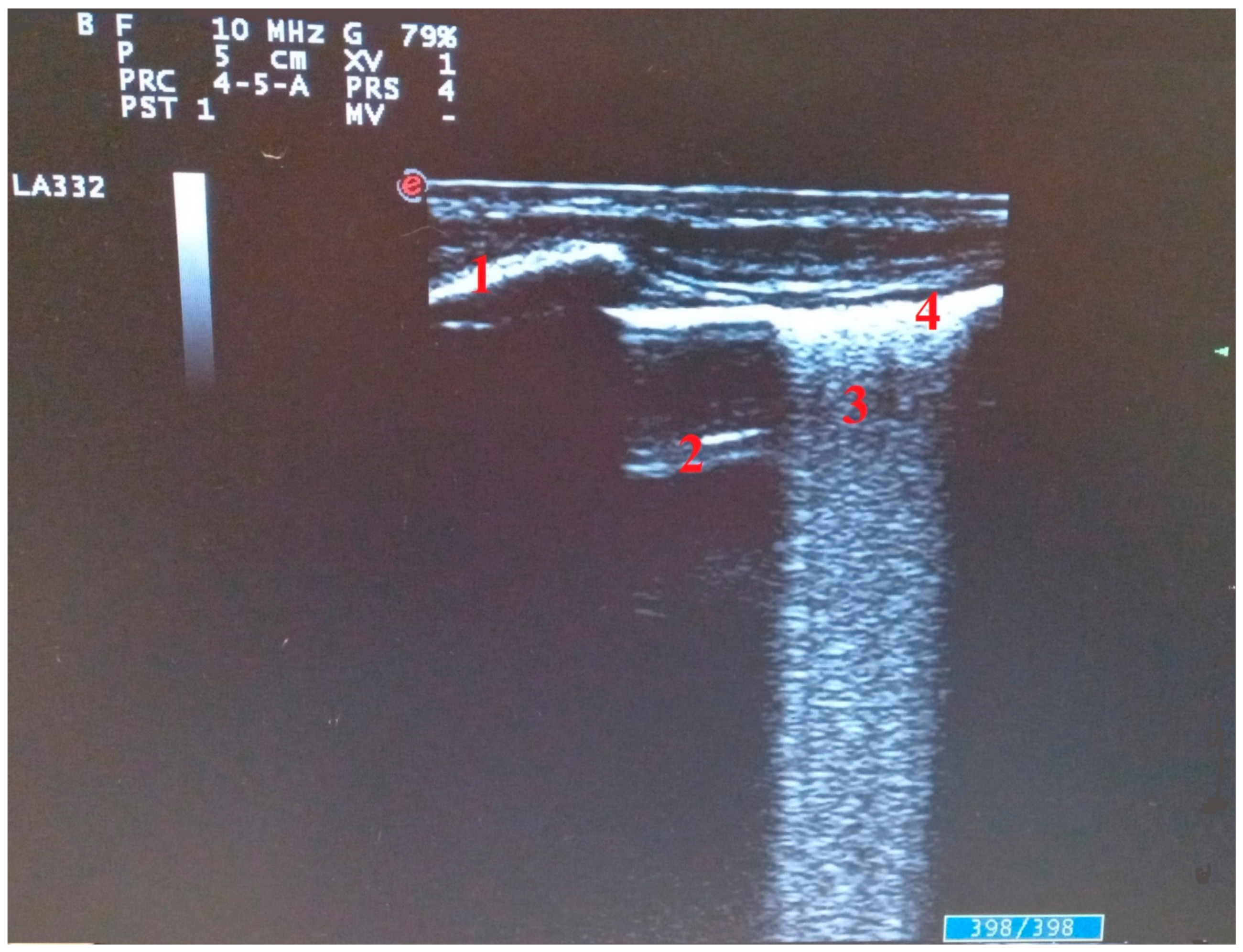 Diagnostics 11 02381 g002