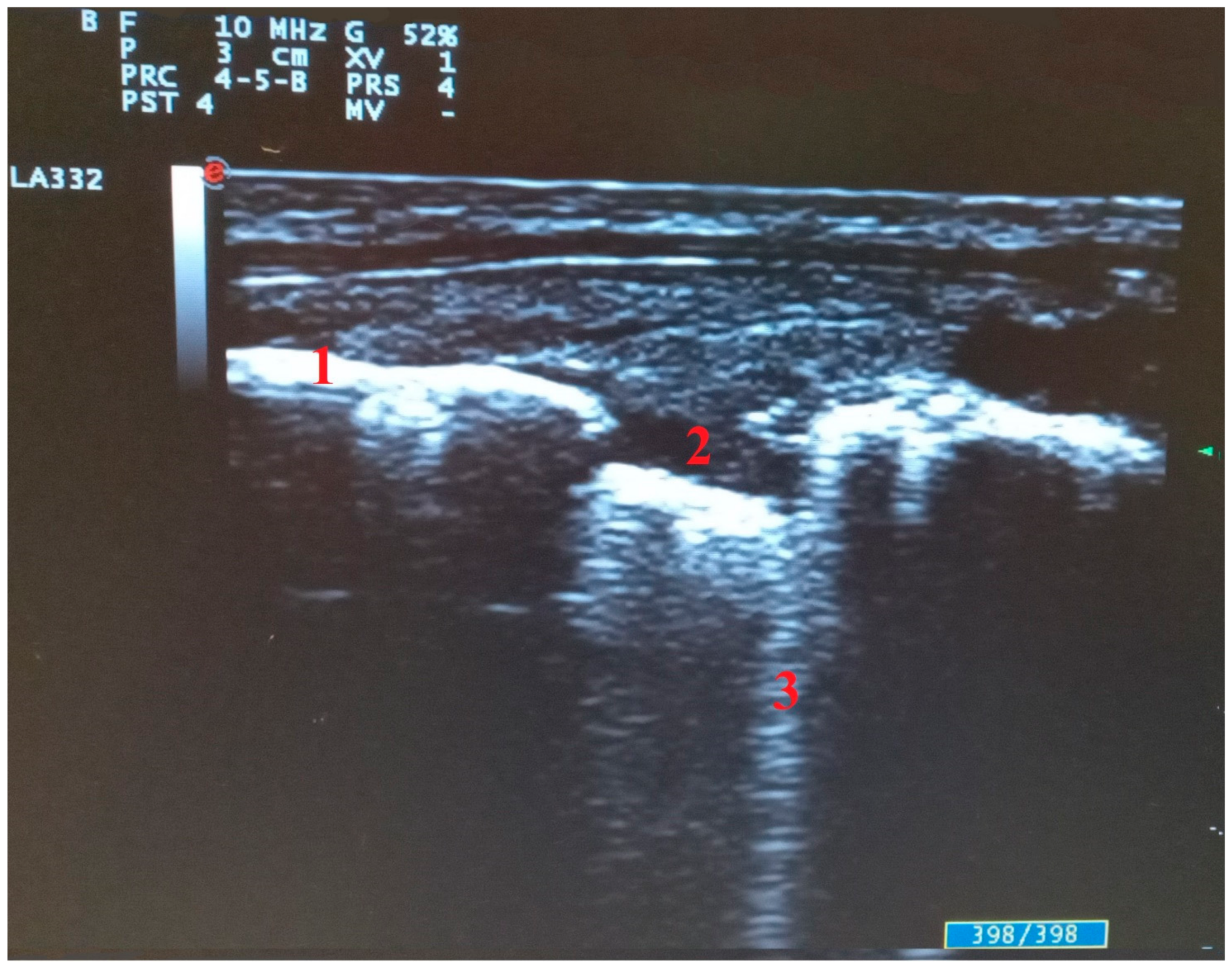 Diagnostics 11 02381 g004