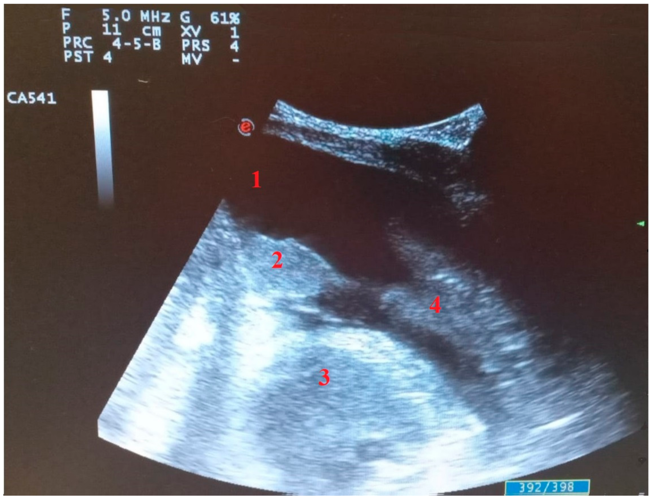 Diagnostics 11 02381 g005