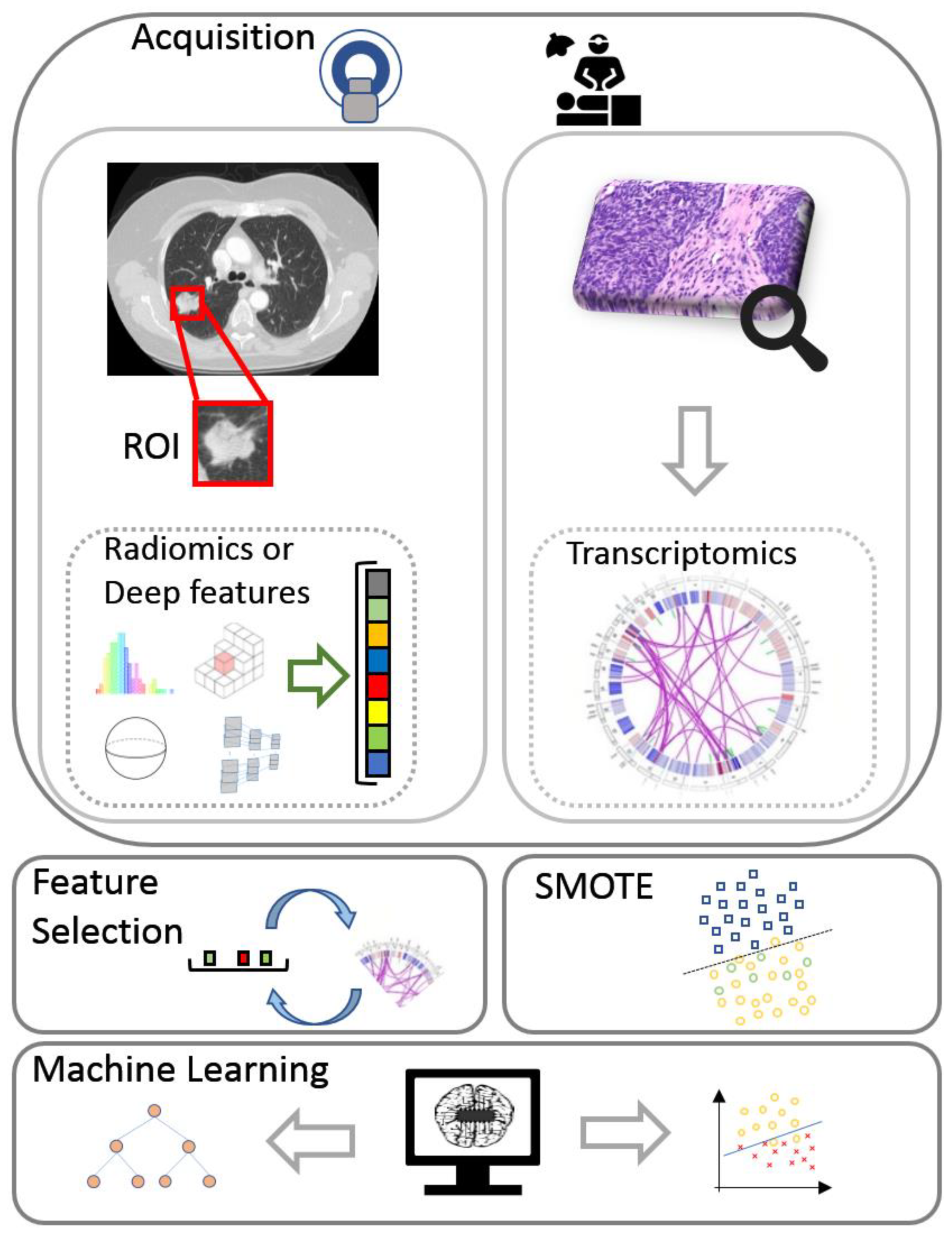 Diagnostics 11 02383 g001