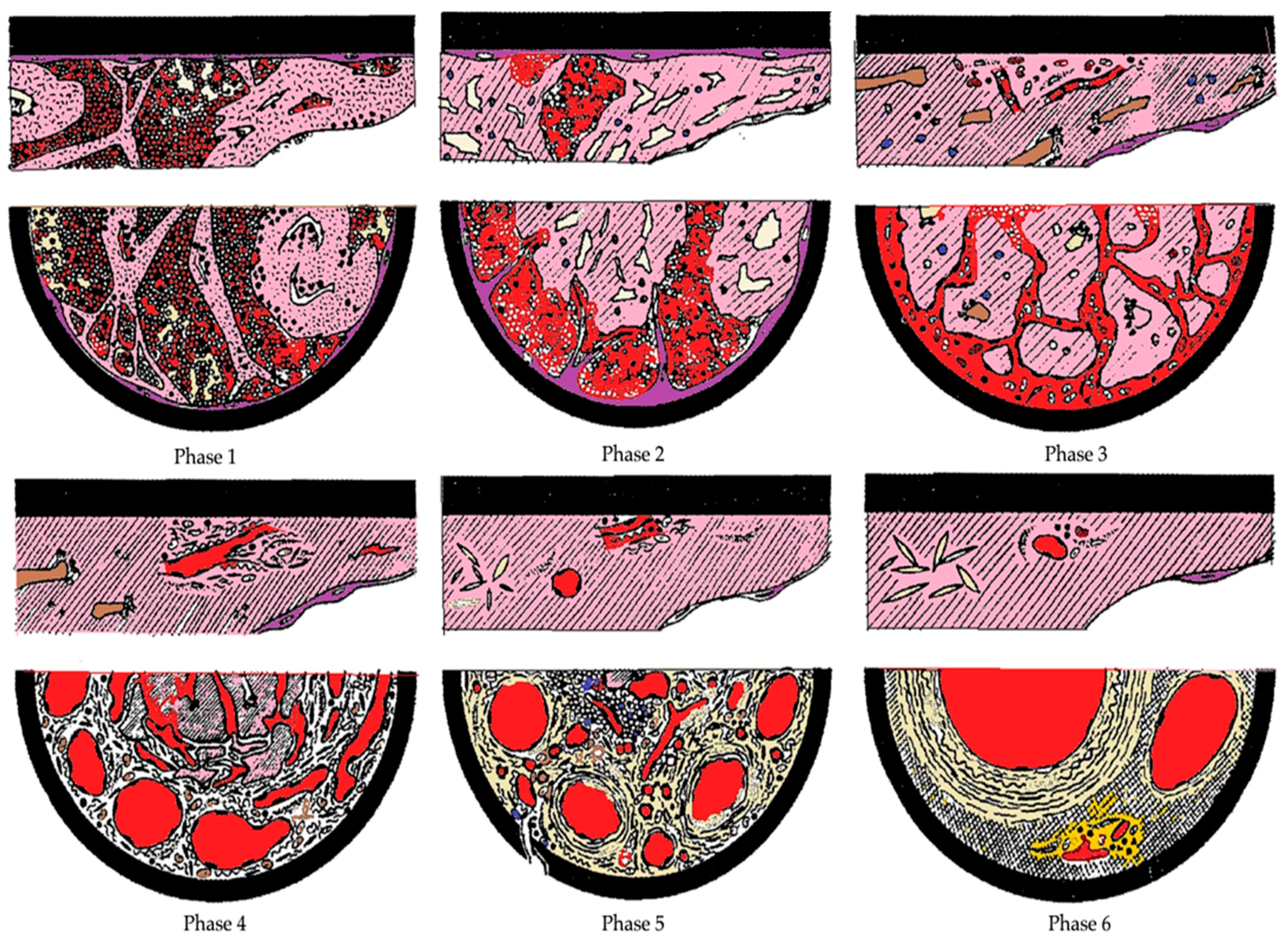 Diagnostics 11 02397 g002 Diagnostics 11 02397 g002
