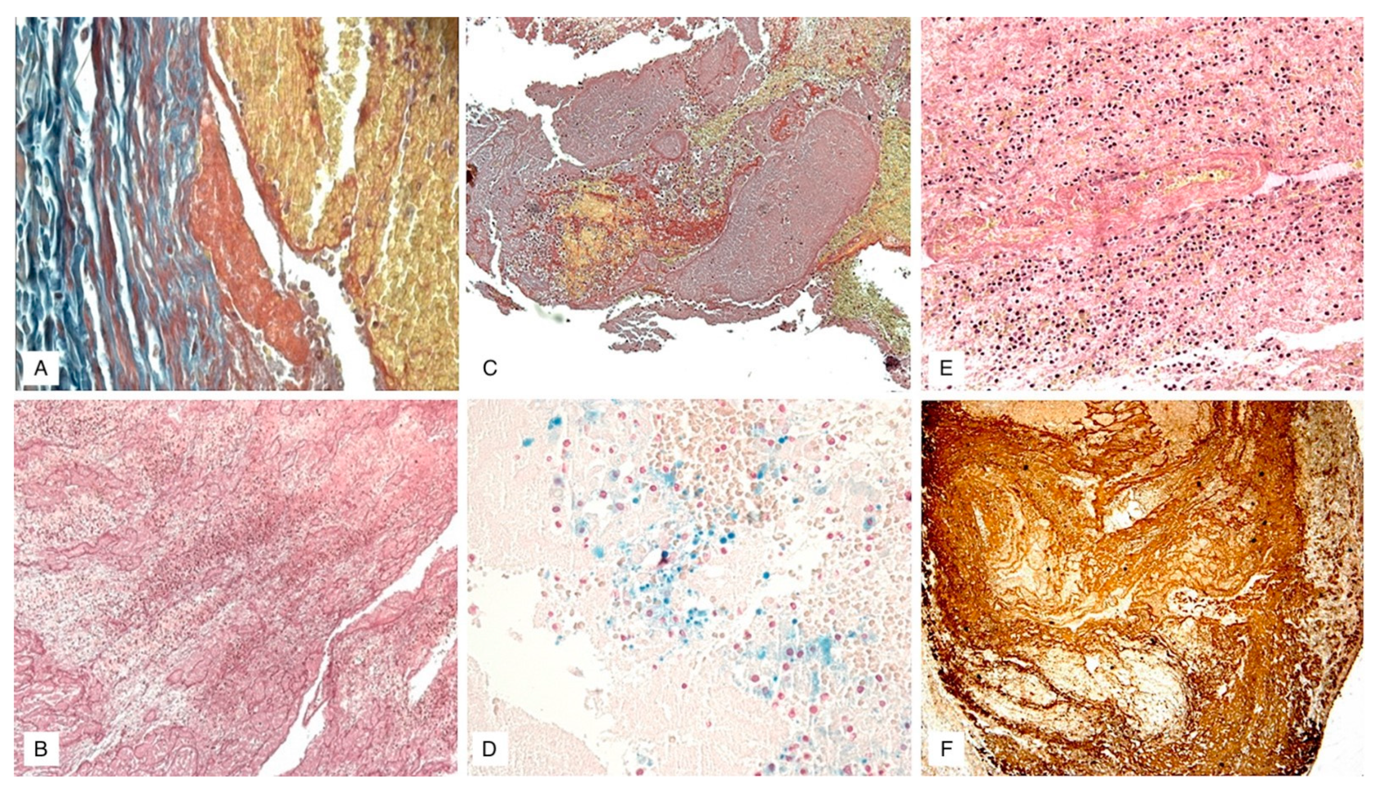 Diagnostics 11 02397 g003 Diagnostics 11 02397 g003