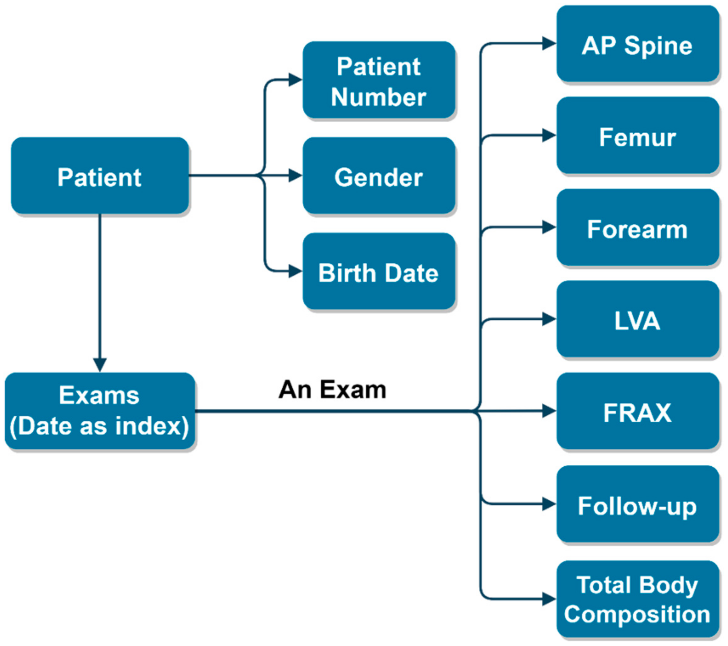 Diagnostics 11 02403 g002 Diagnostics 11 02403 g002