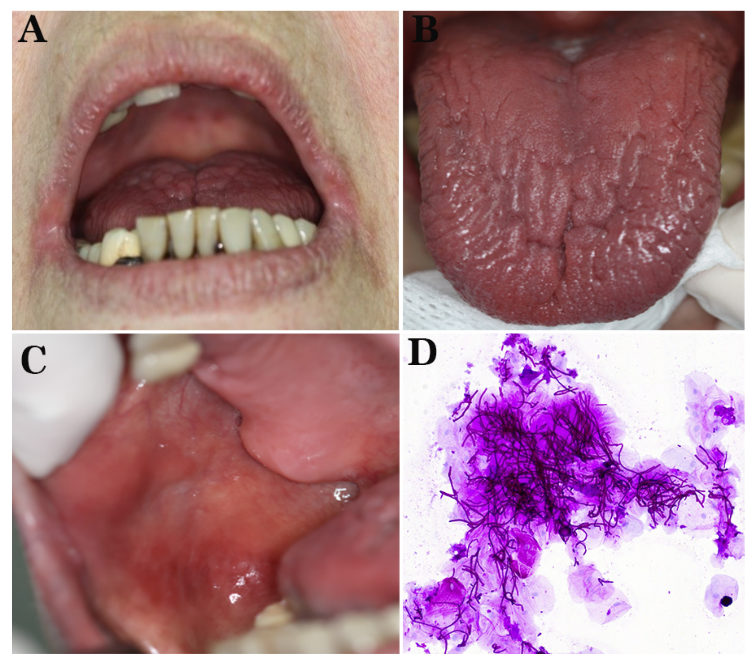 Diagnostics 12 00003 g004