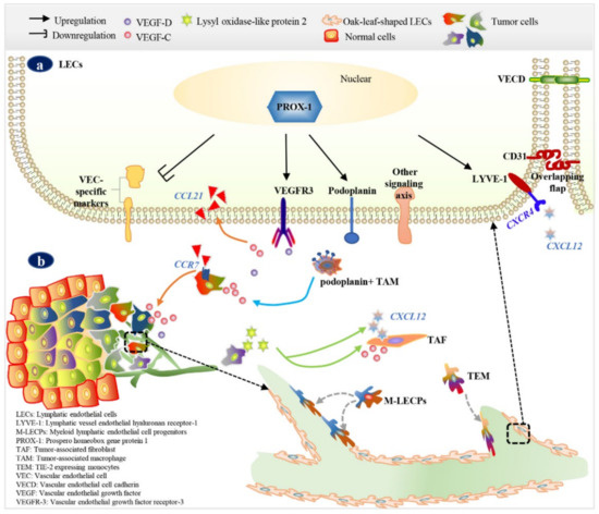 Diagnostics 12 00004 g002