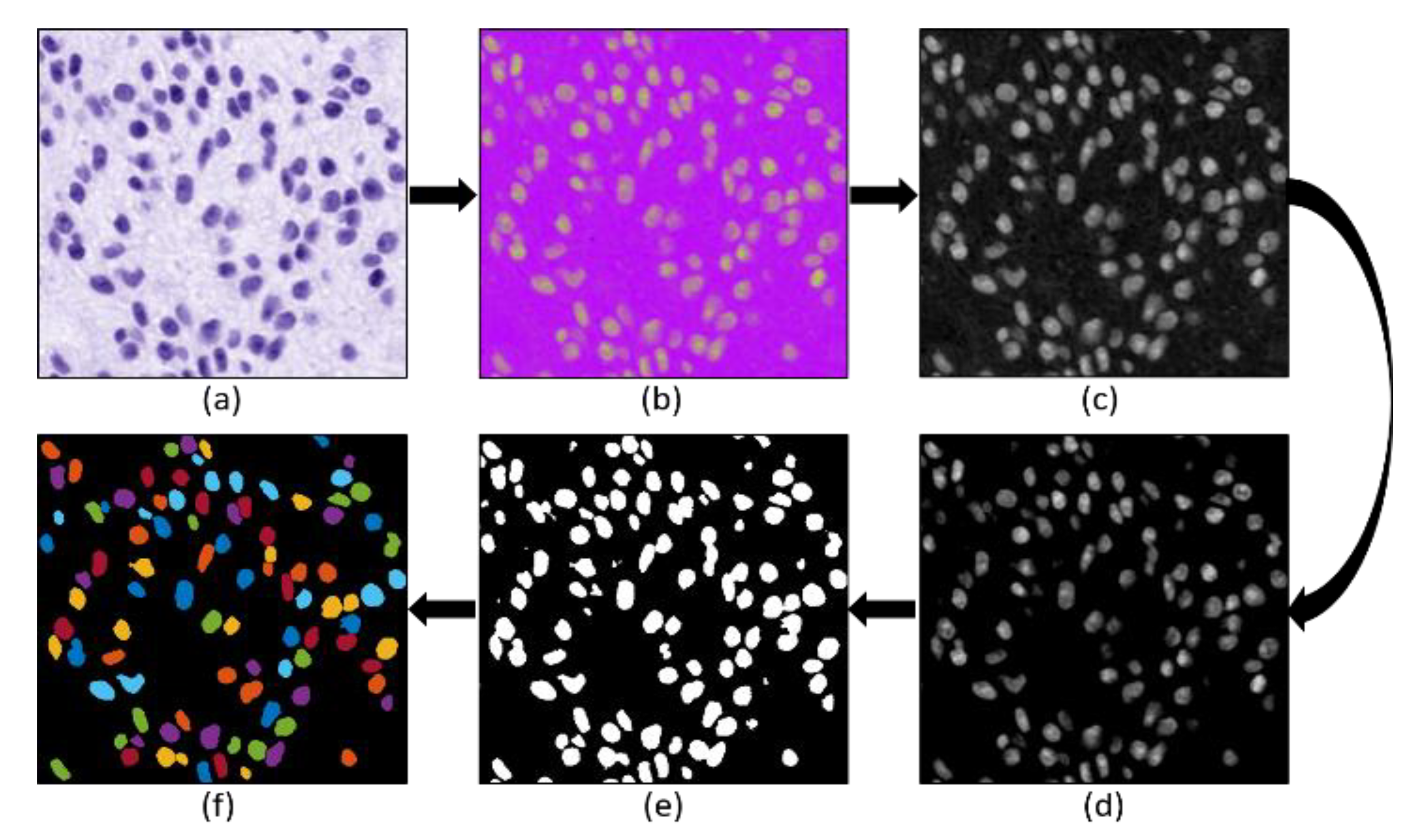 Diagnostics 12 00015 g005 Diagnostics 12 00015 g005