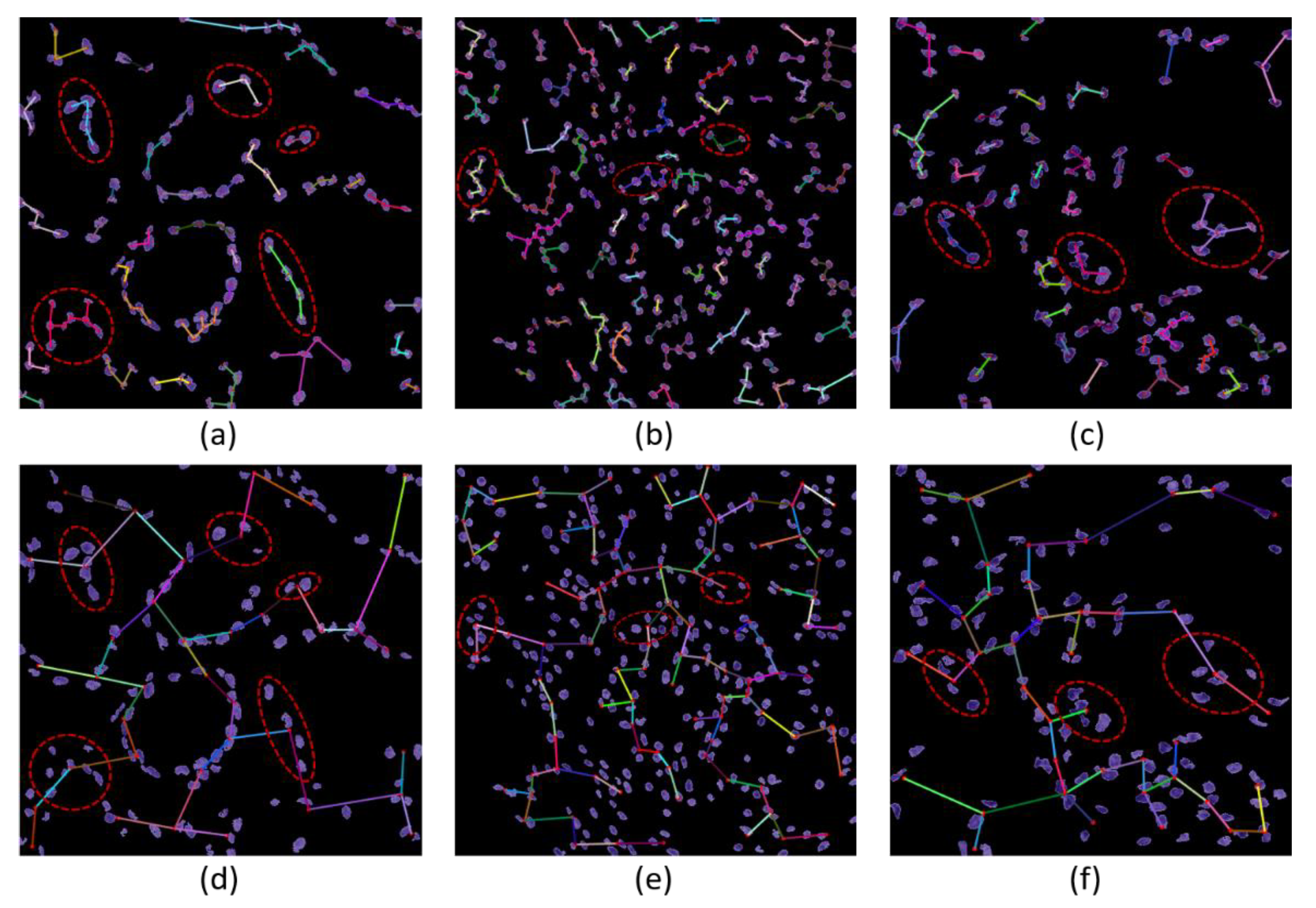Diagnostics 12 00015 g012 Diagnostics 12 00015 g012