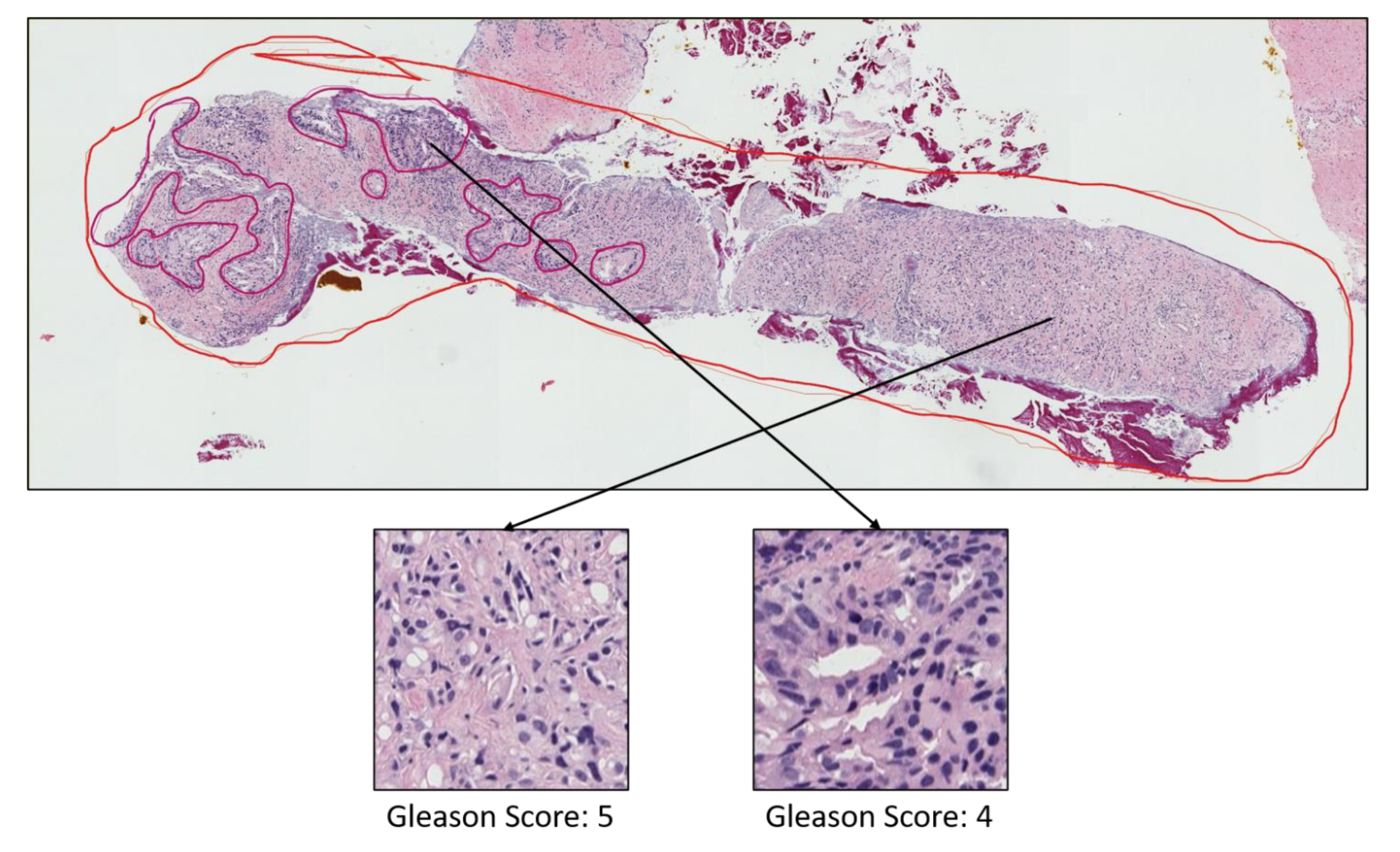 Diagnostics 12 00015 g0a1 Diagnostics 12 00015 g0a1