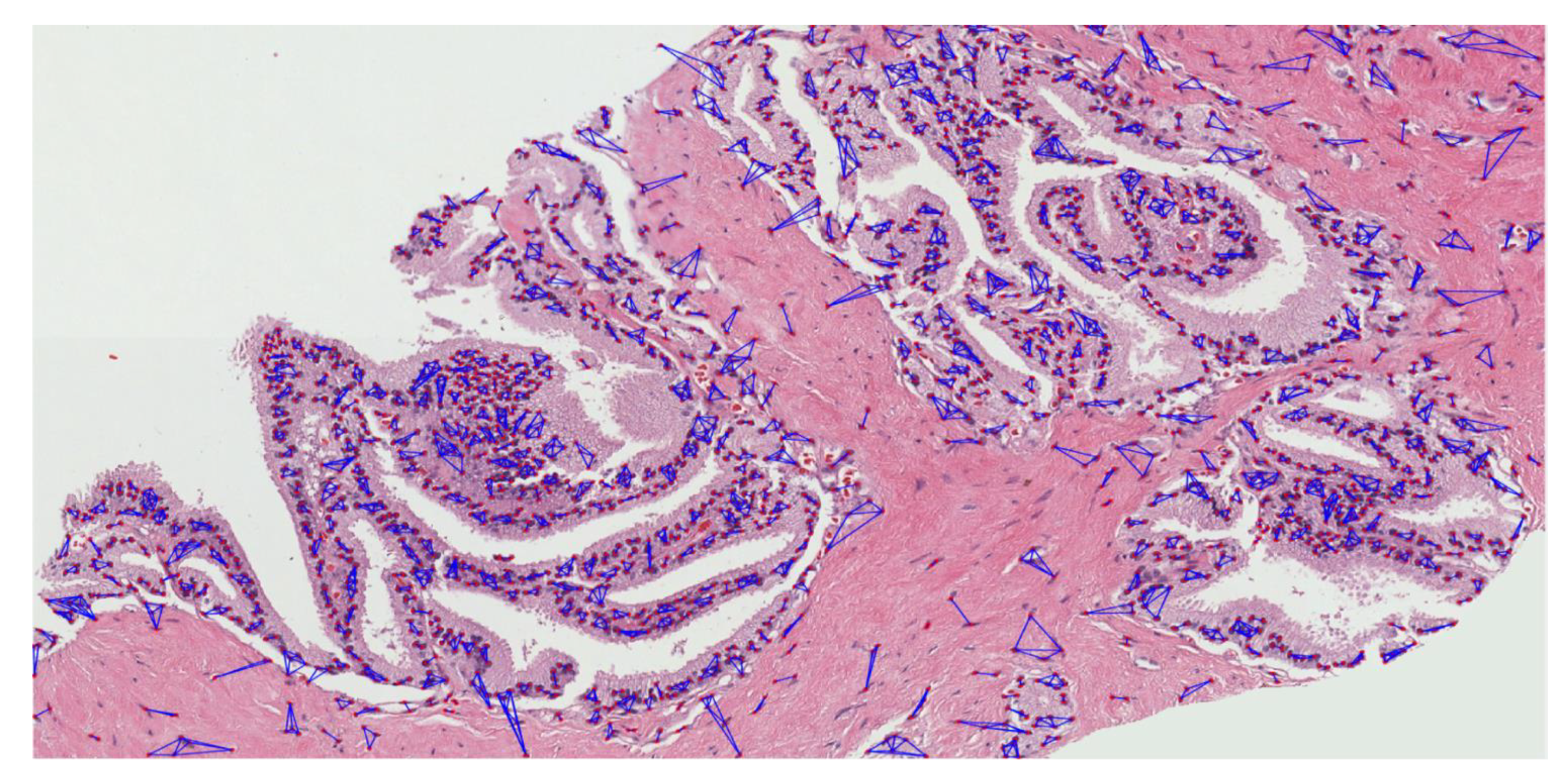 Diagnostics 12 00015 g0a5 Diagnostics 12 00015 g0a5