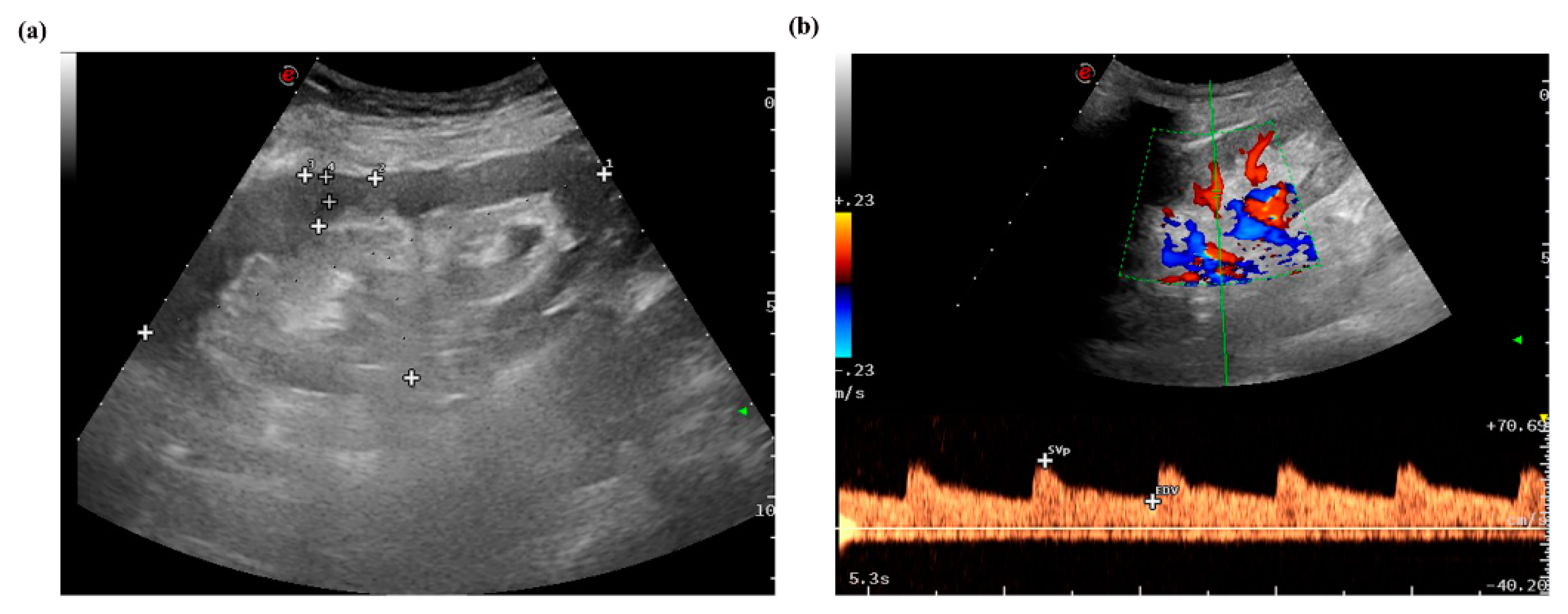 Diagnostics 12 00018 g002