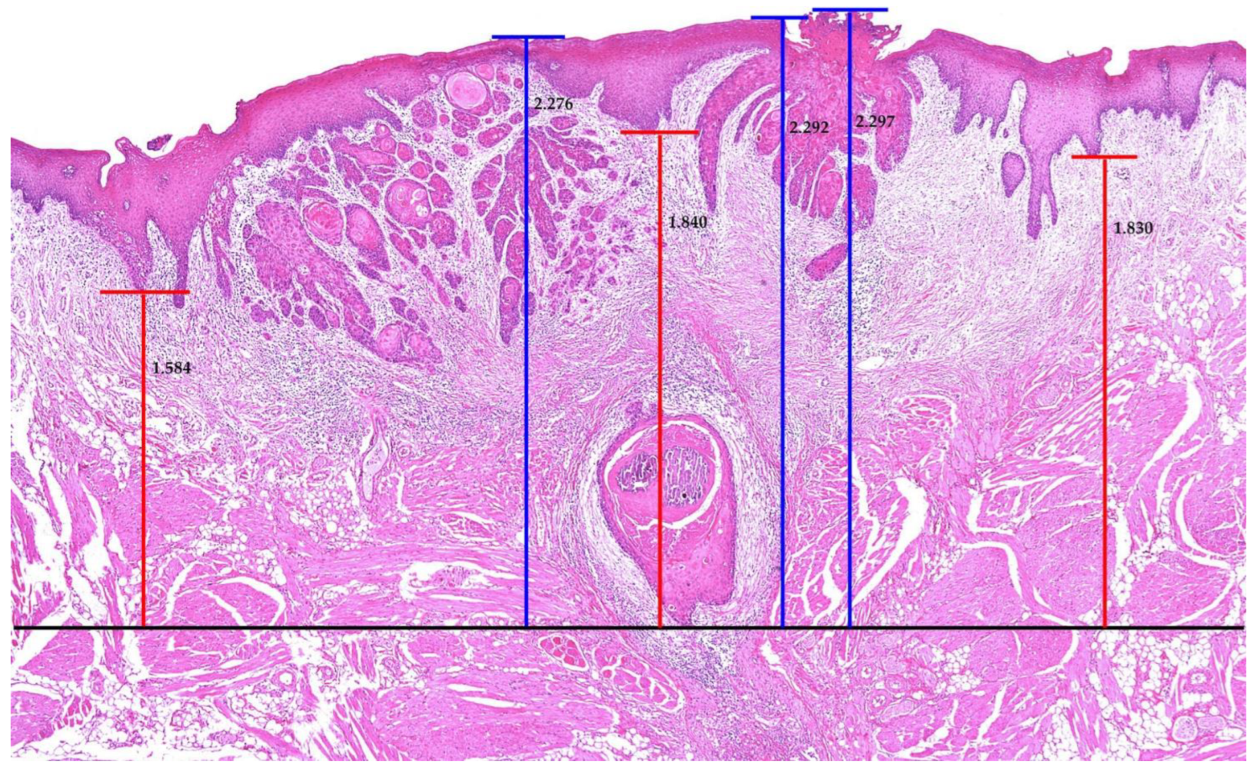 Diagnostics 12 00020 g001