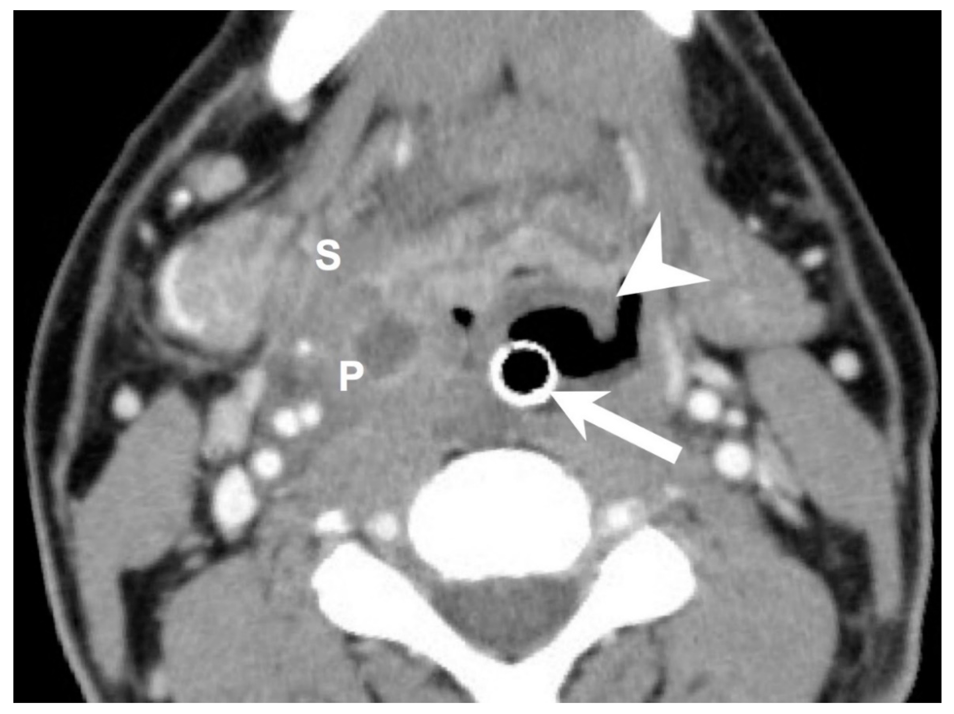 Diagnostics 12 00029 g002