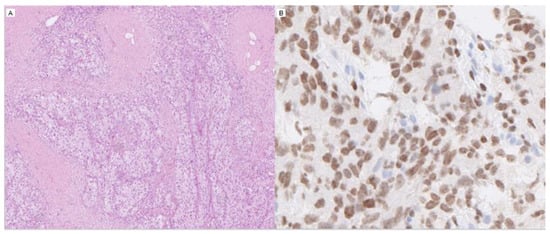Diagnostics 12 00031 g002