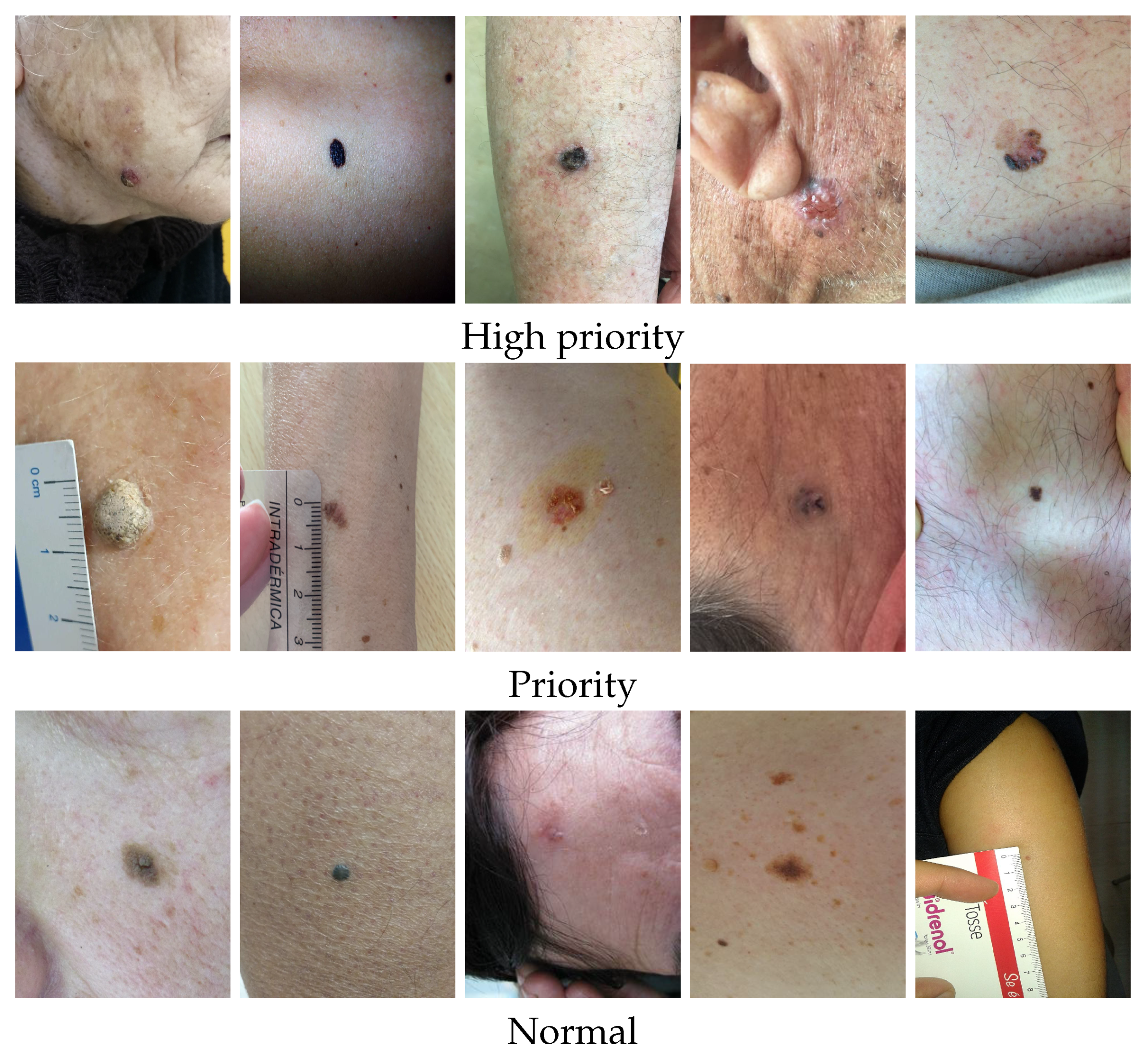 Diagnostics 12 00036 g002