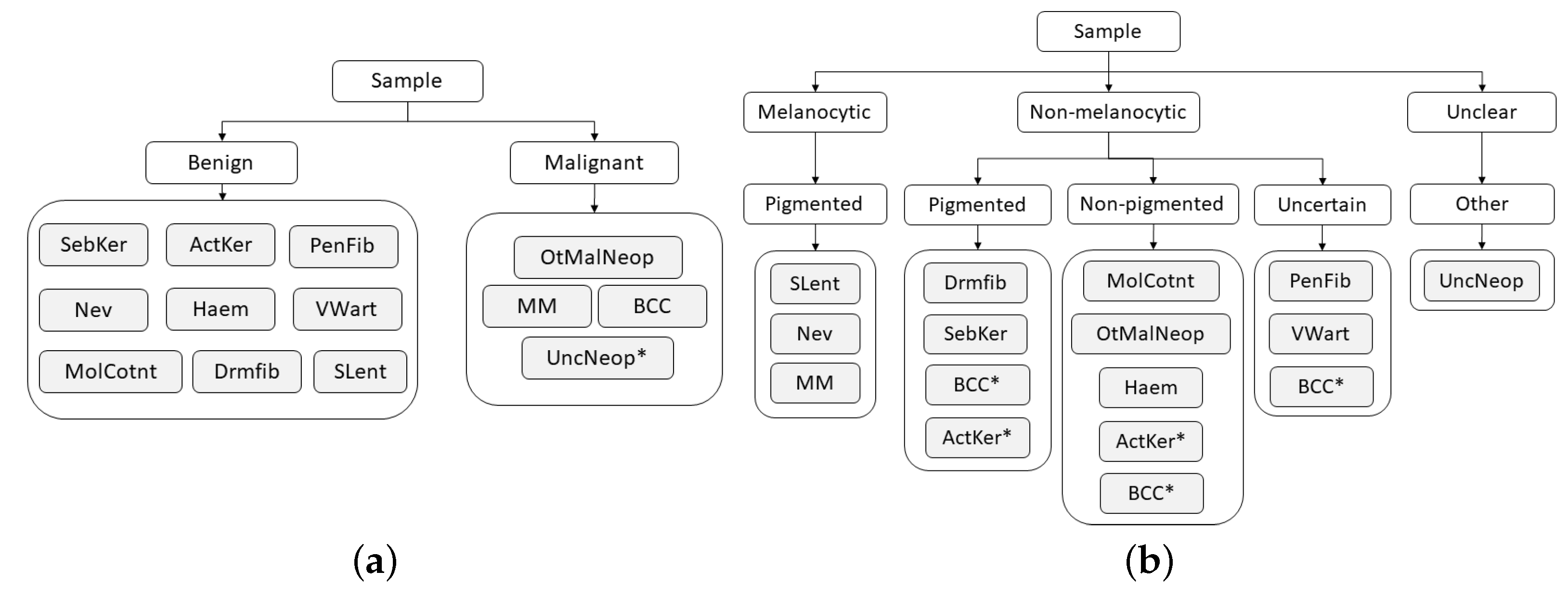 Diagnostics 12 00036 g004