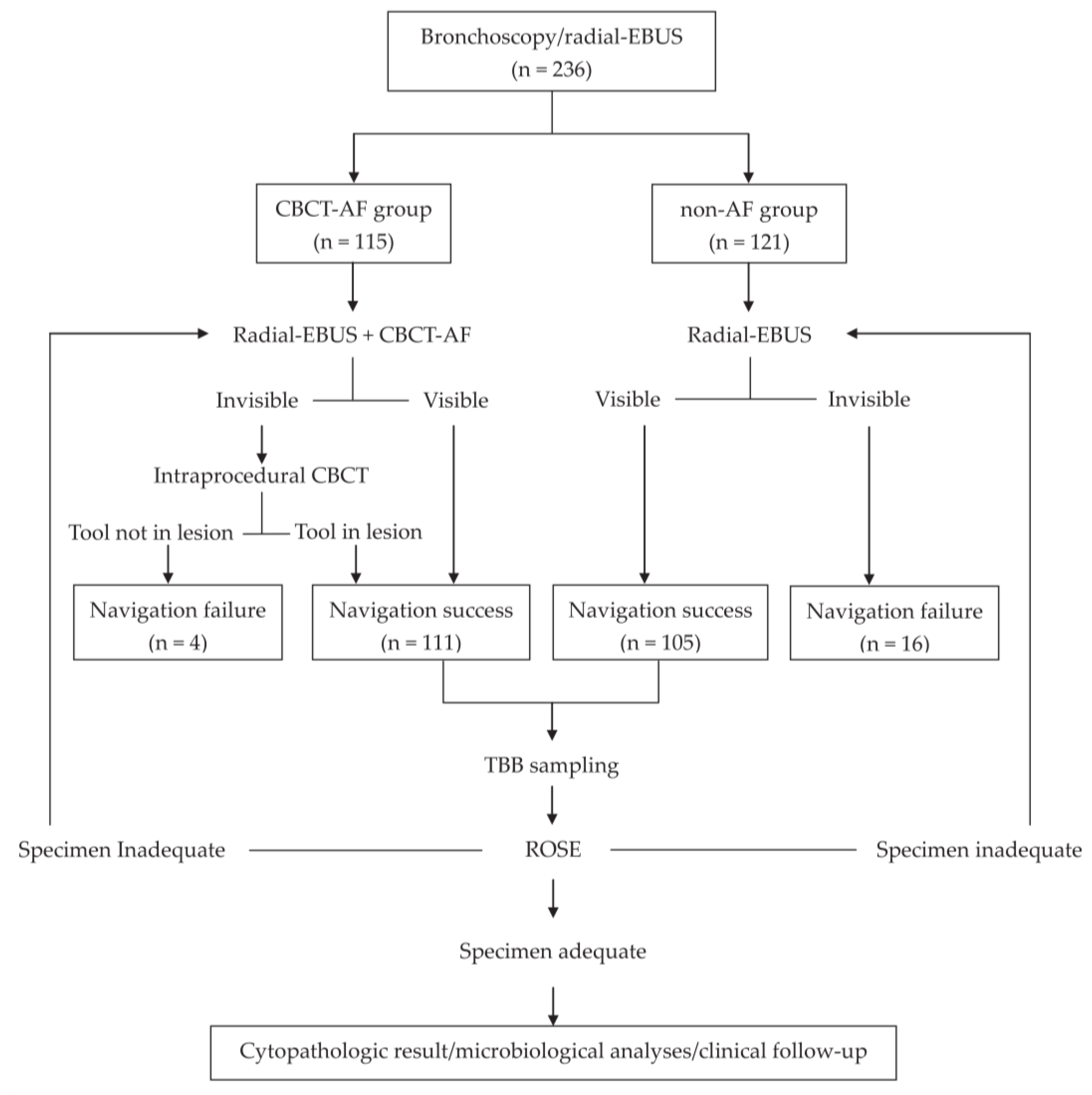Diagnostics 12 00041 g001 Diagnostics 12 00041 g001