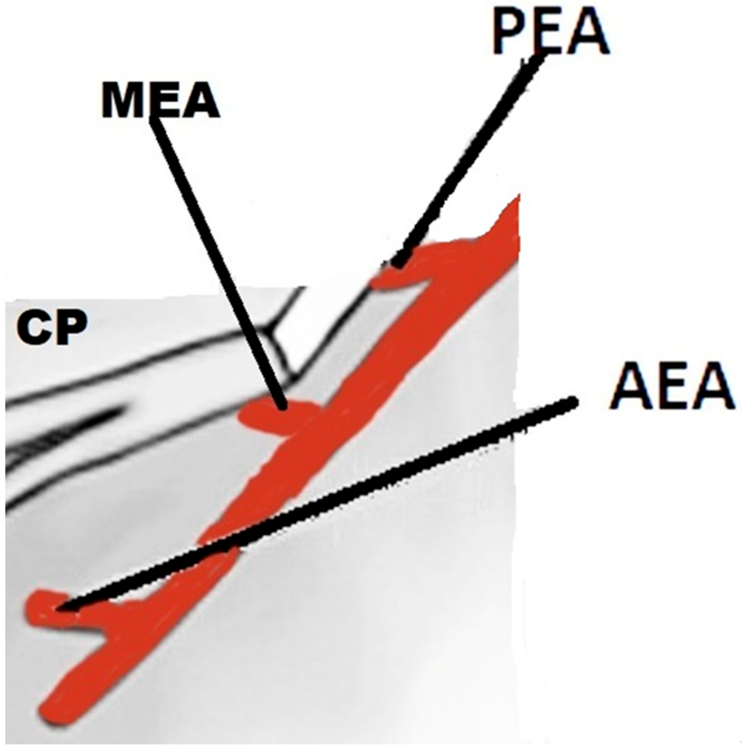 Diagnostics 12 00052 g001