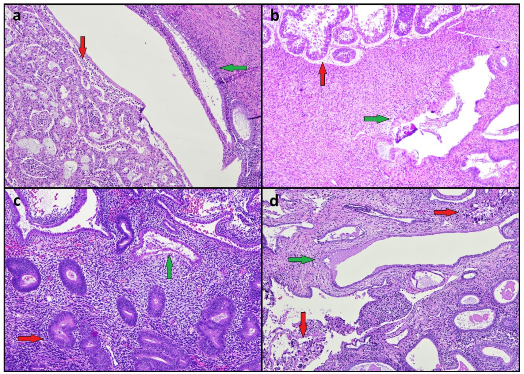 Diagnostics 12 00063 g001