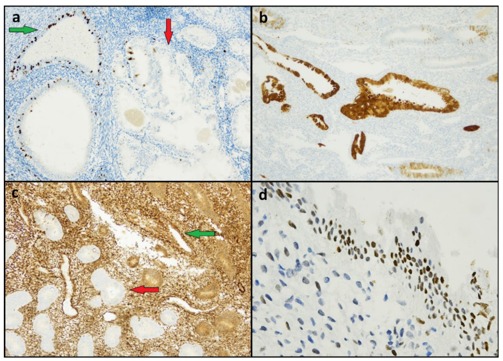 Diagnostics 12 00063 g003