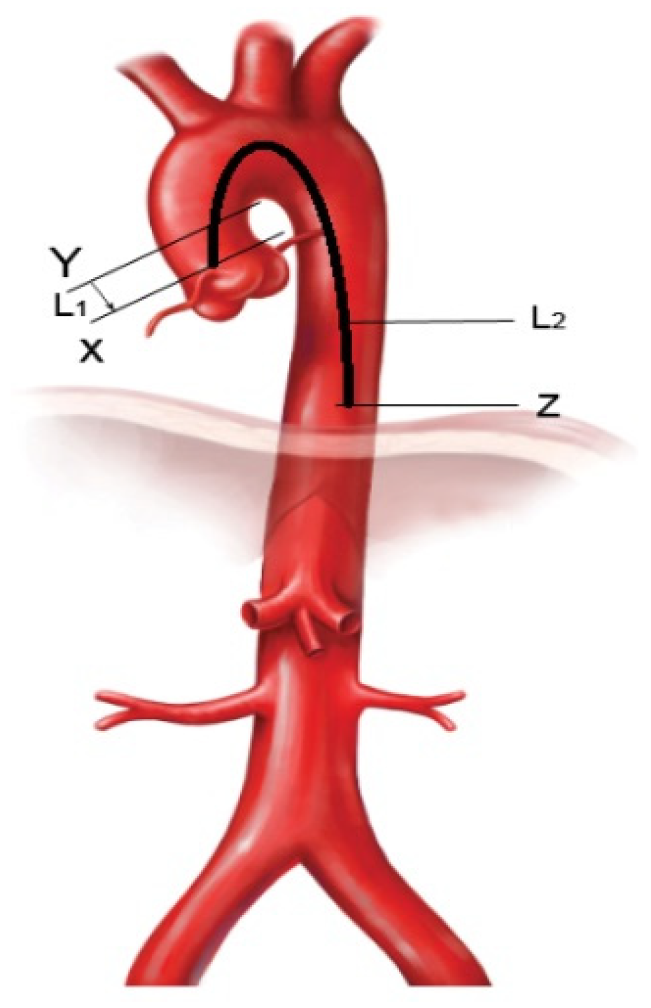 Diagnostics 12 00071 g001