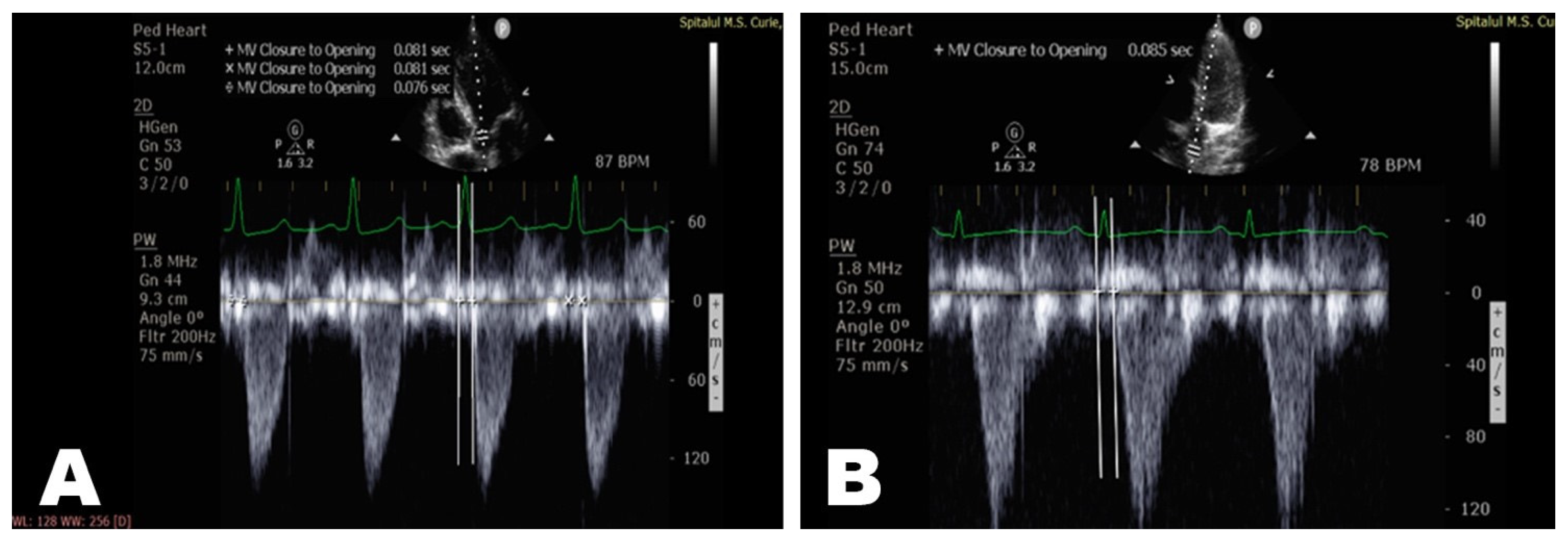 Diagnostics 12 00071 g002