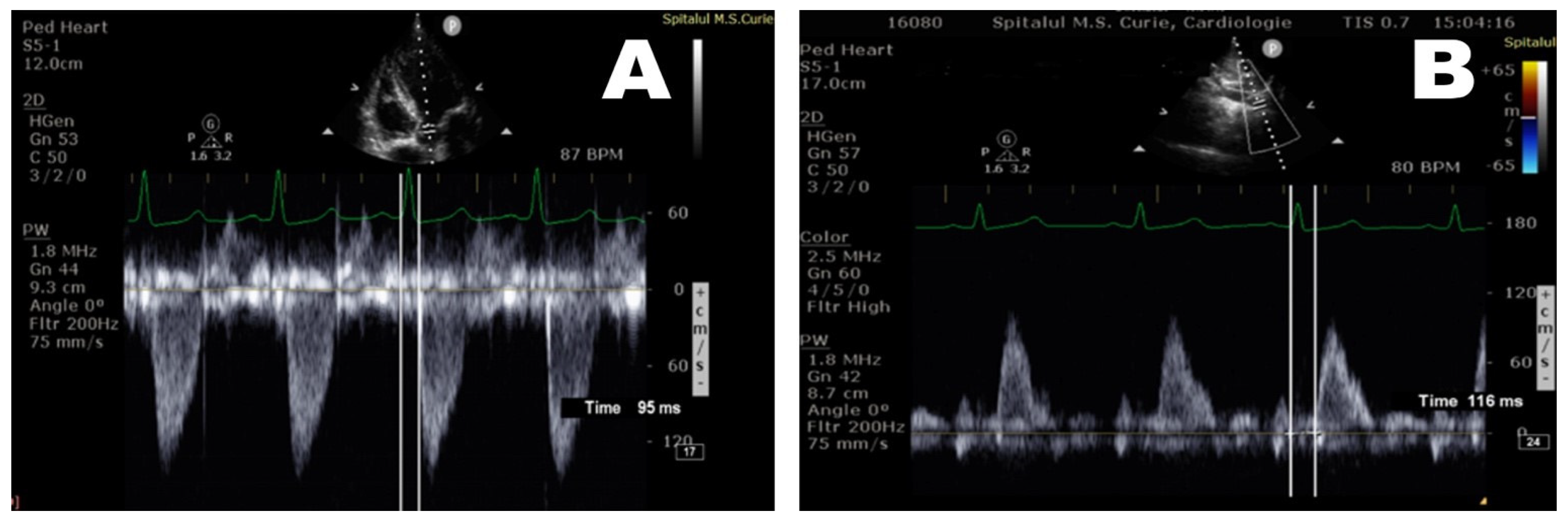 Diagnostics 12 00071 g003