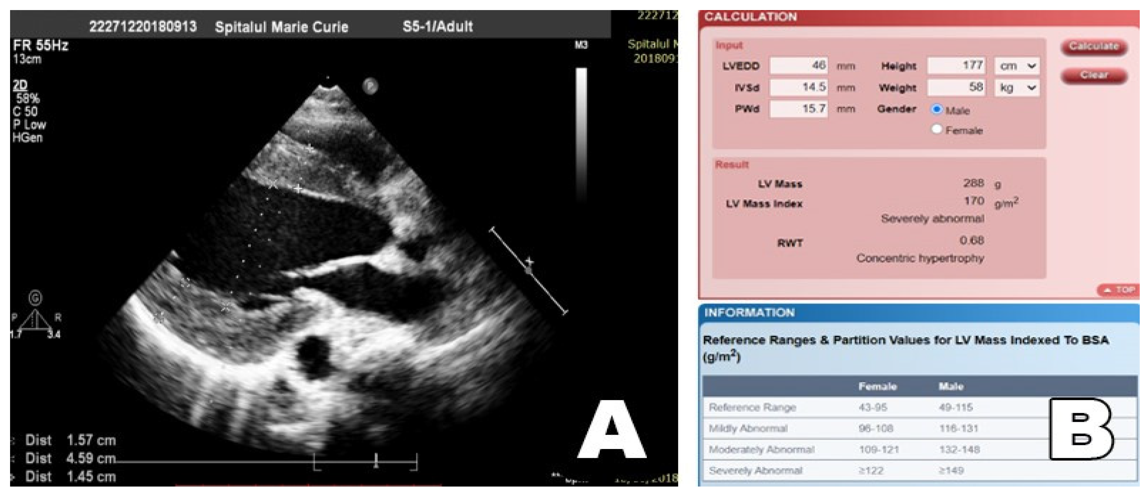 Diagnostics 12 00071 g004