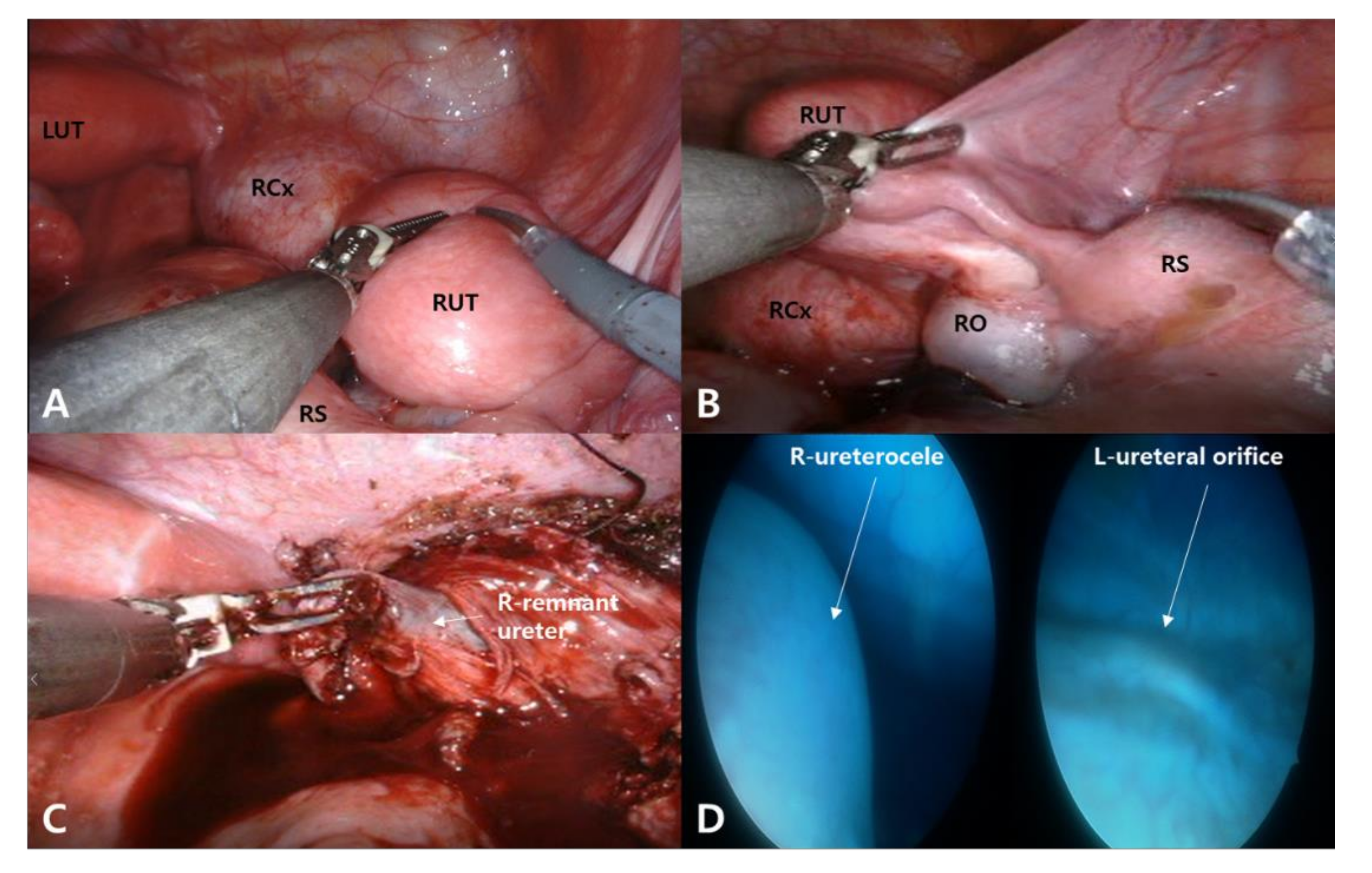 Diagnostics 12 00083 g001