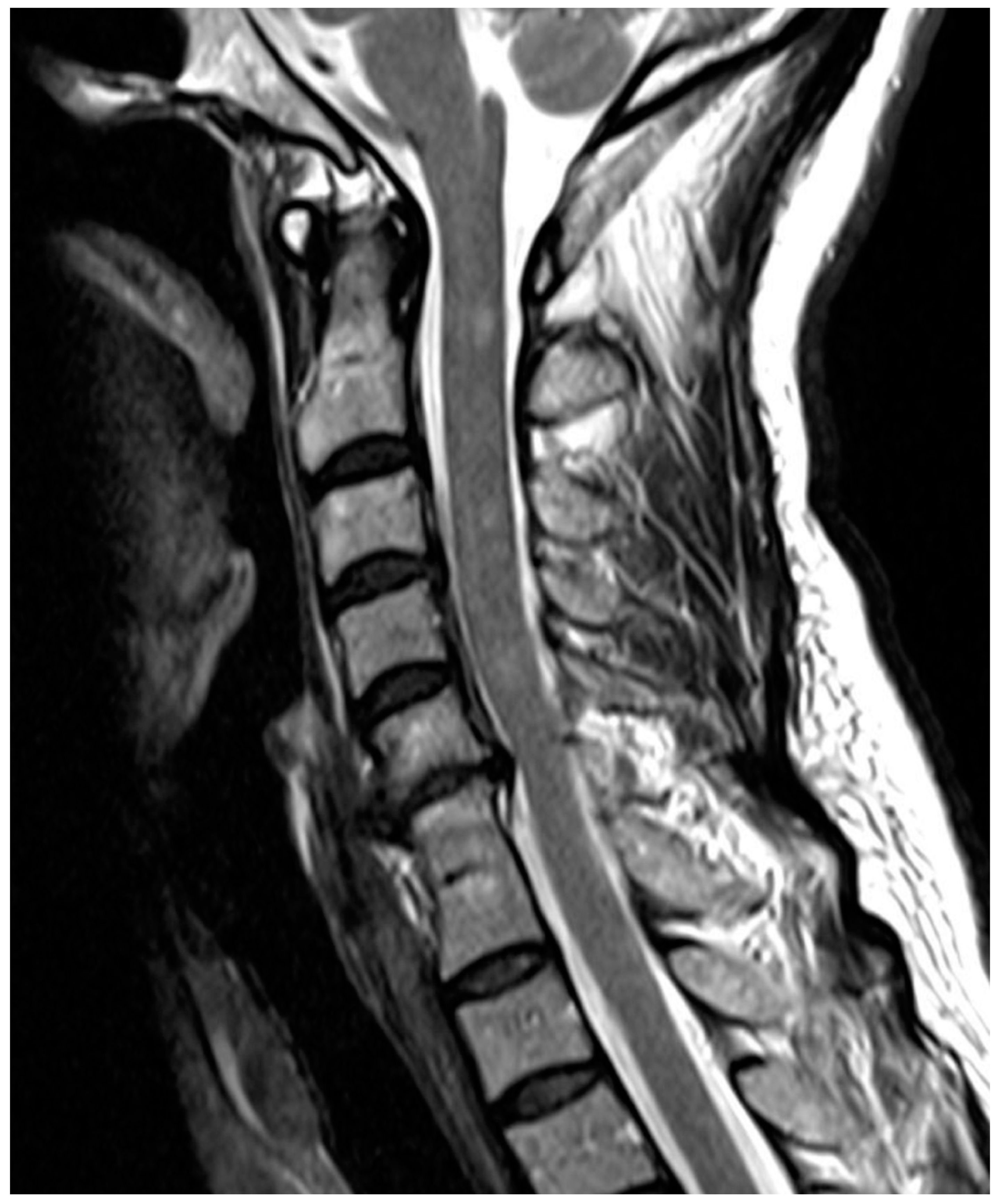 Diagnostics 12 00090 g002