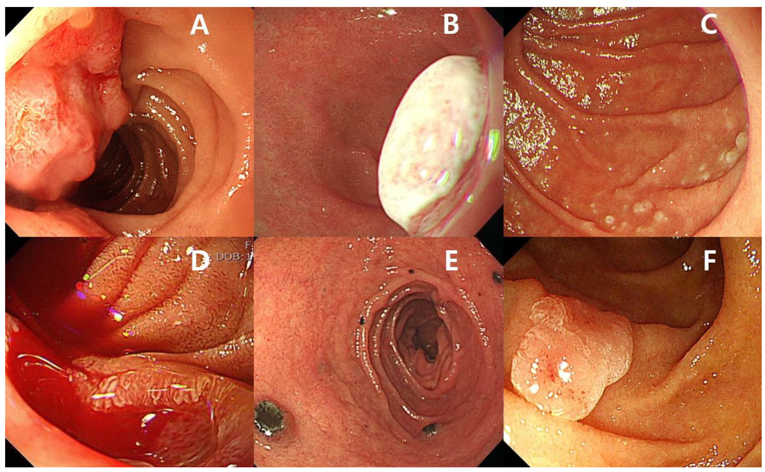 Diagnostics 12 00091 g001