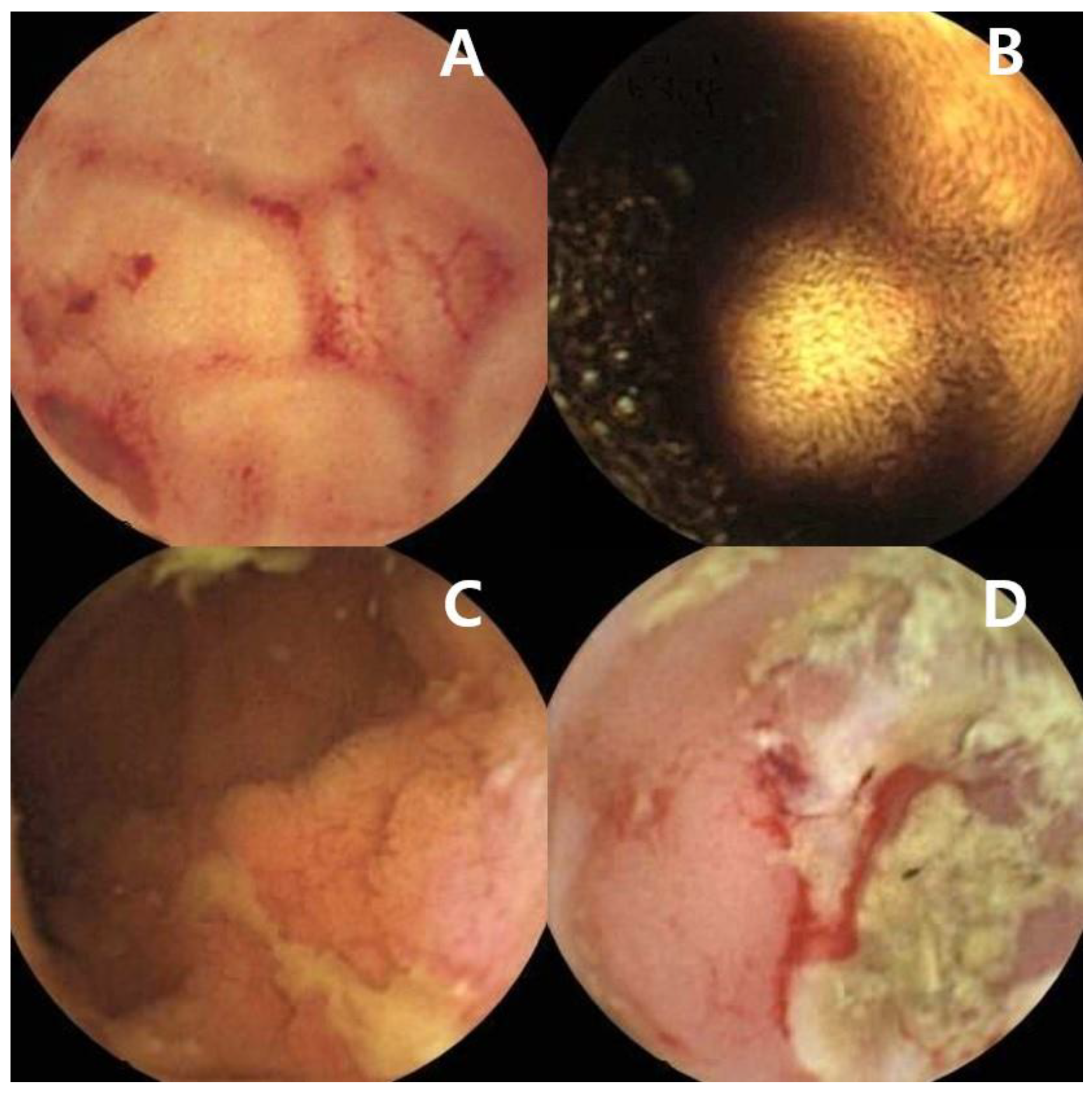 Diagnostics 12 00091 g002