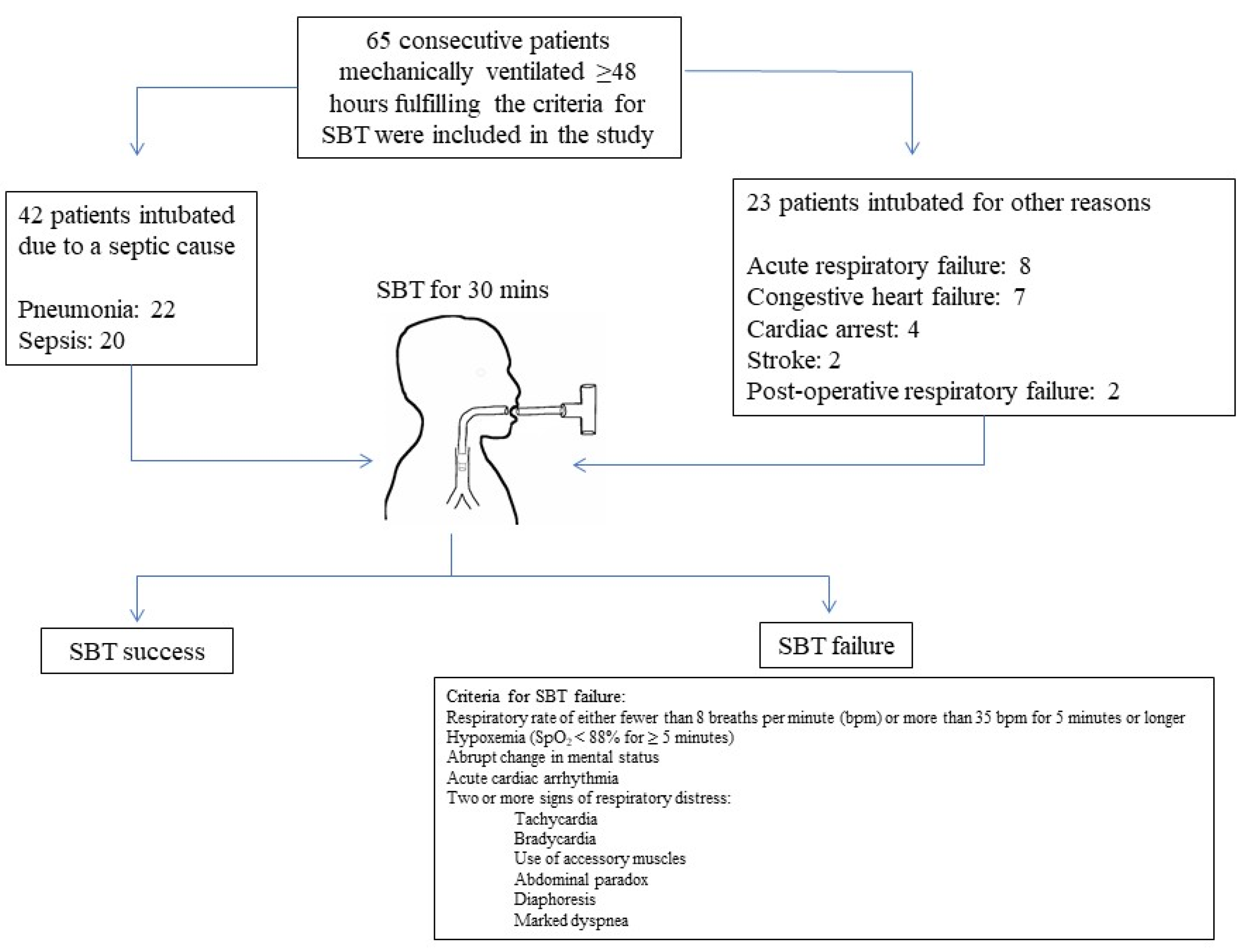 Diagnostics 12 00092 g001