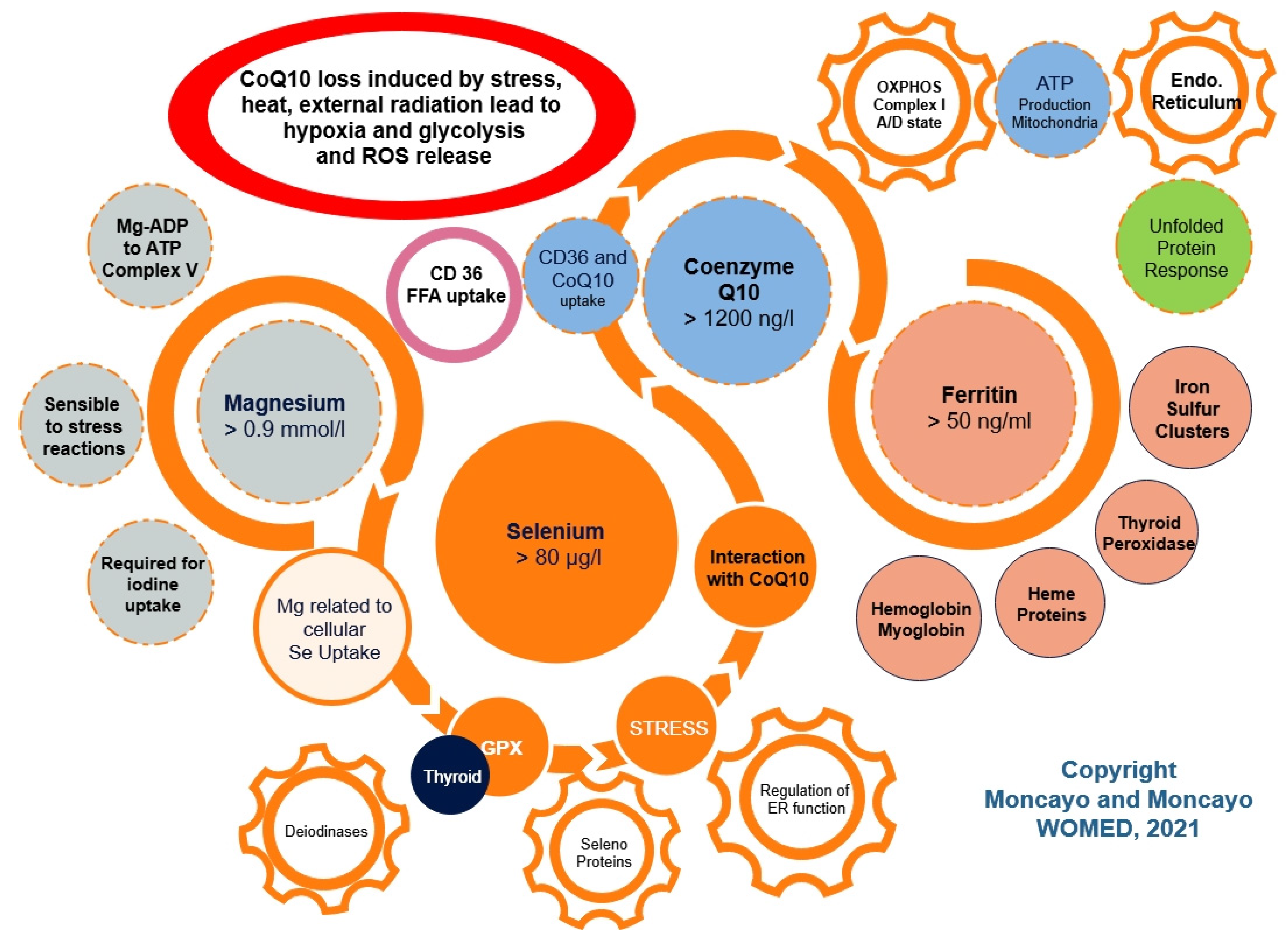 Diagnostics 12 00107 g002