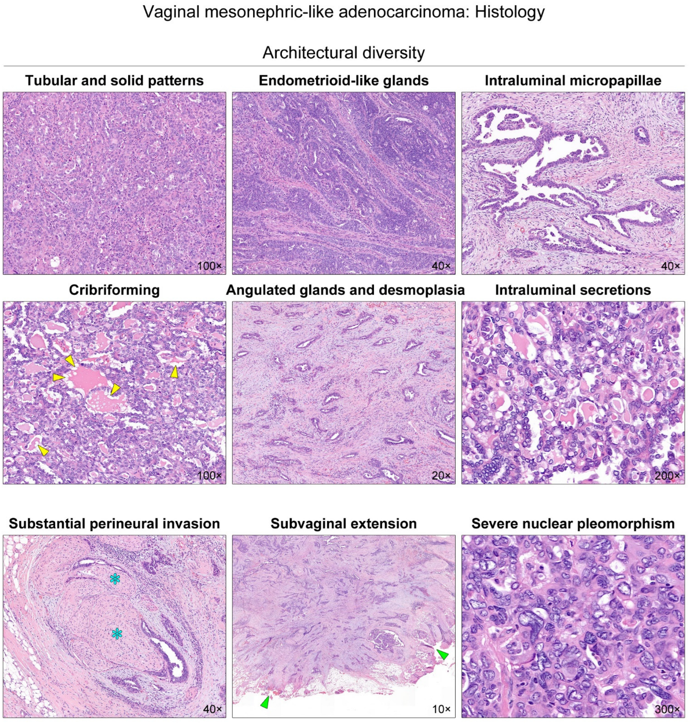 Diagnostics 12 00119 g002