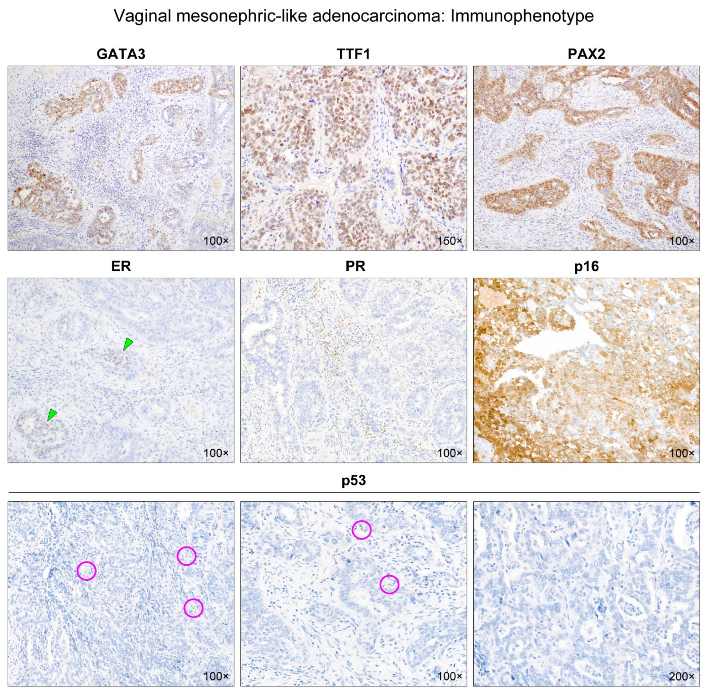 Diagnostics 12 00119 g003