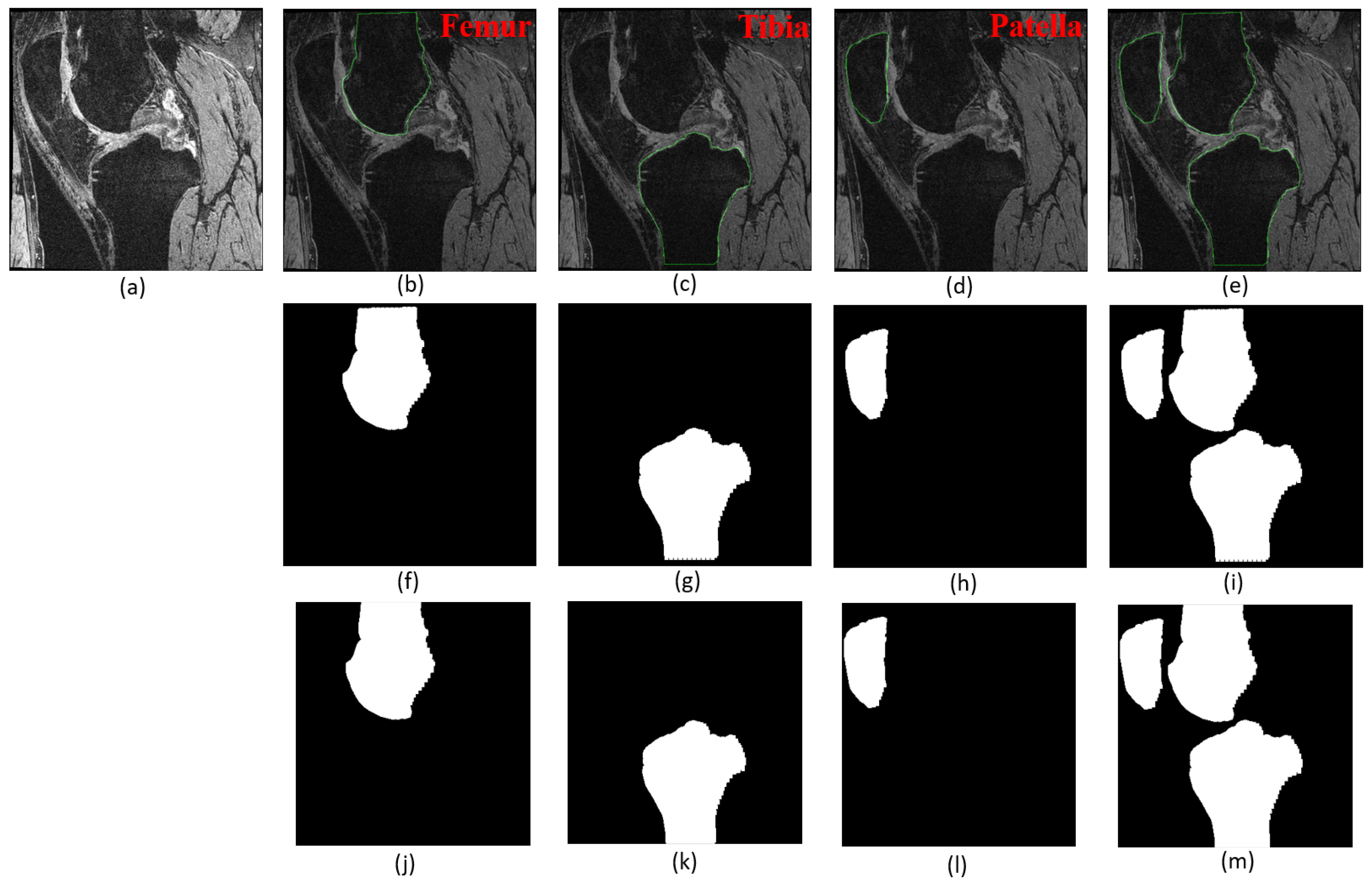 Diagnostics 12 00123 g002