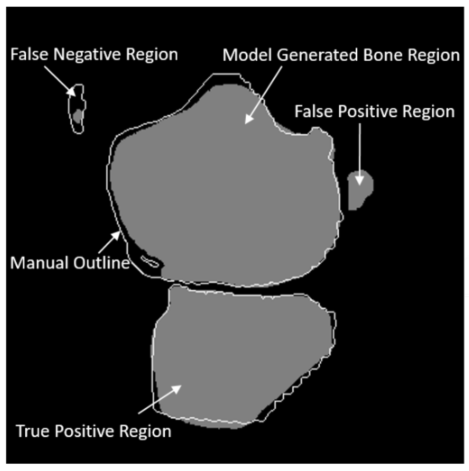 Diagnostics 12 00123 g003