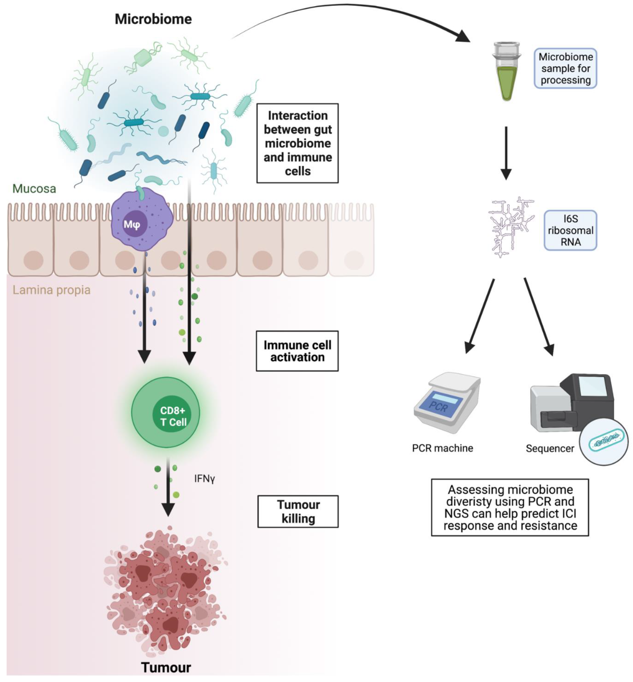 Diagnostics 12 00124 g004