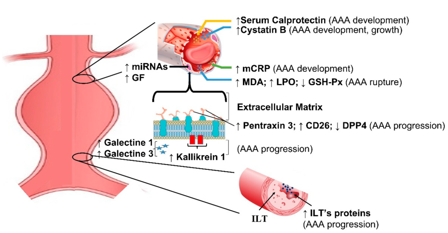 Diagnostics 12 00183 g002