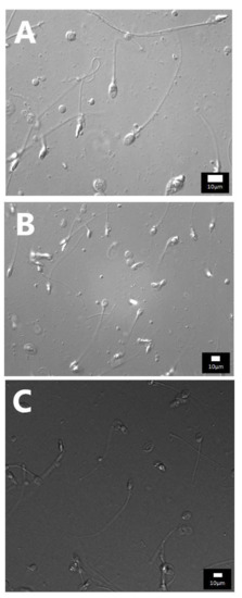 Diagnostics 12 00192 g0a1