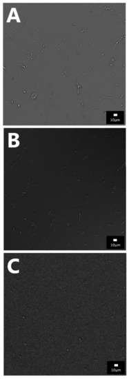 Diagnostics 12 00192 g0a2