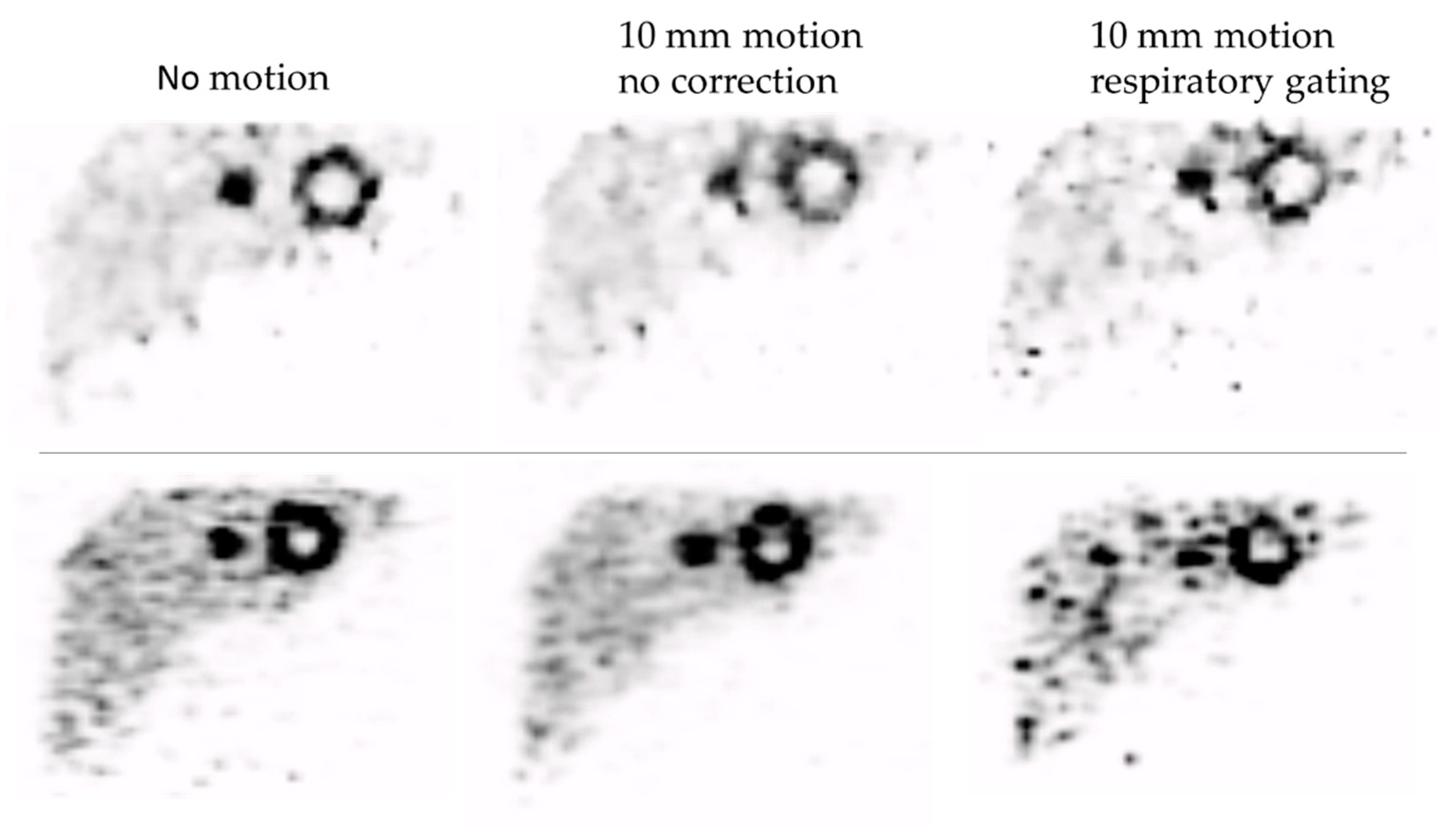 Diagnostics 12 00194 g002