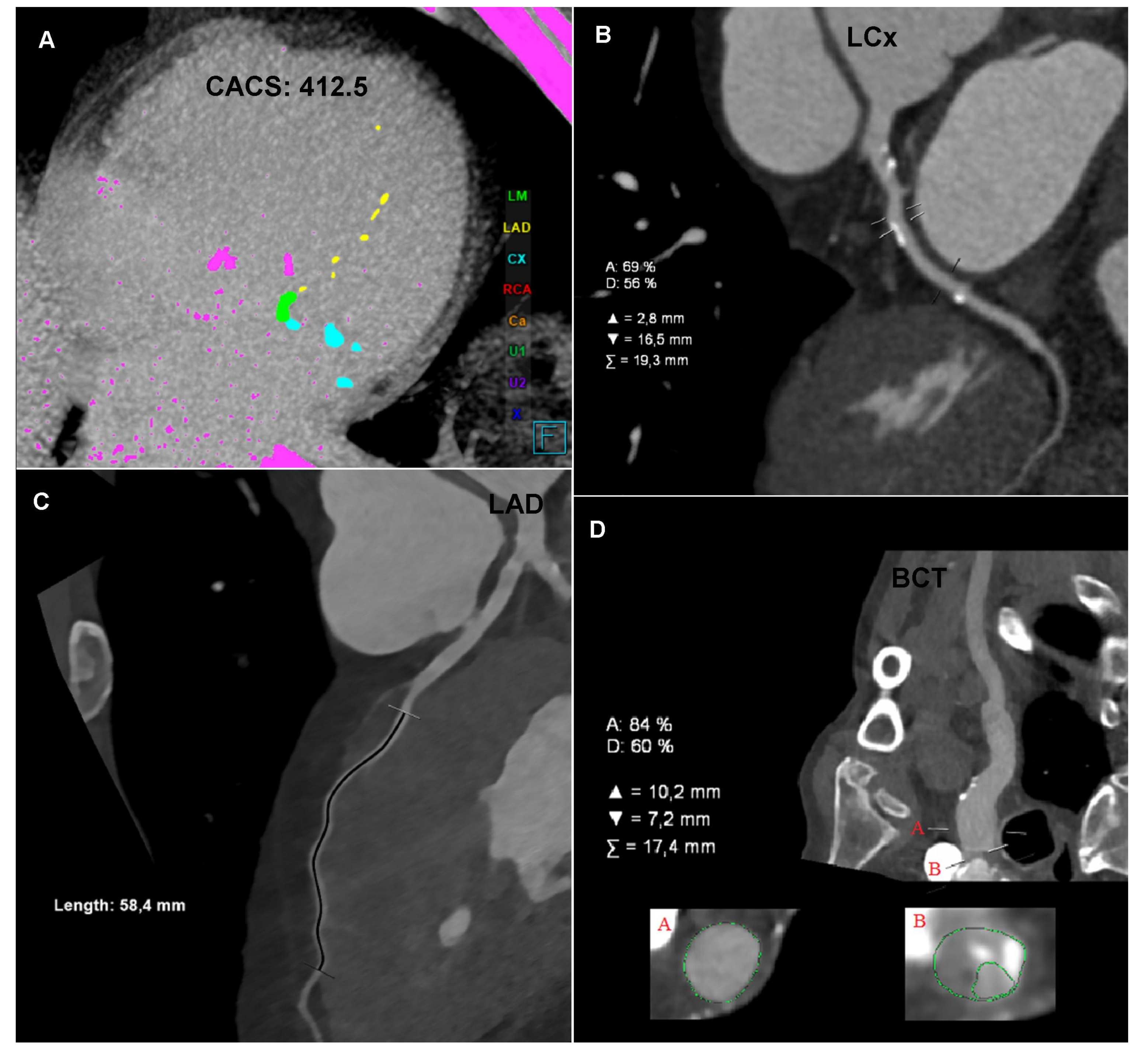 Diagnostics 12 00200 g001a
